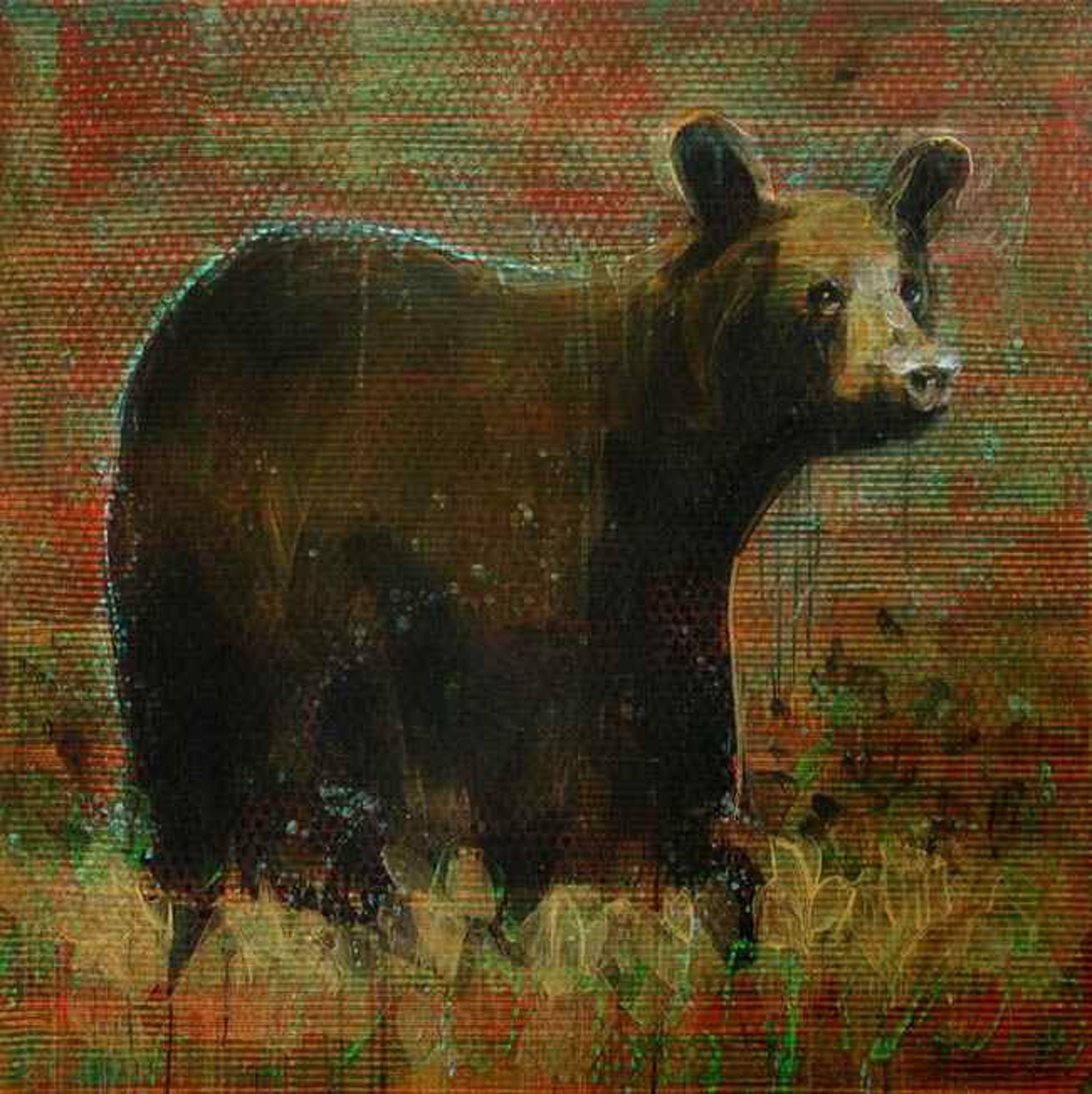Bear (08-5926) by Les Thomas