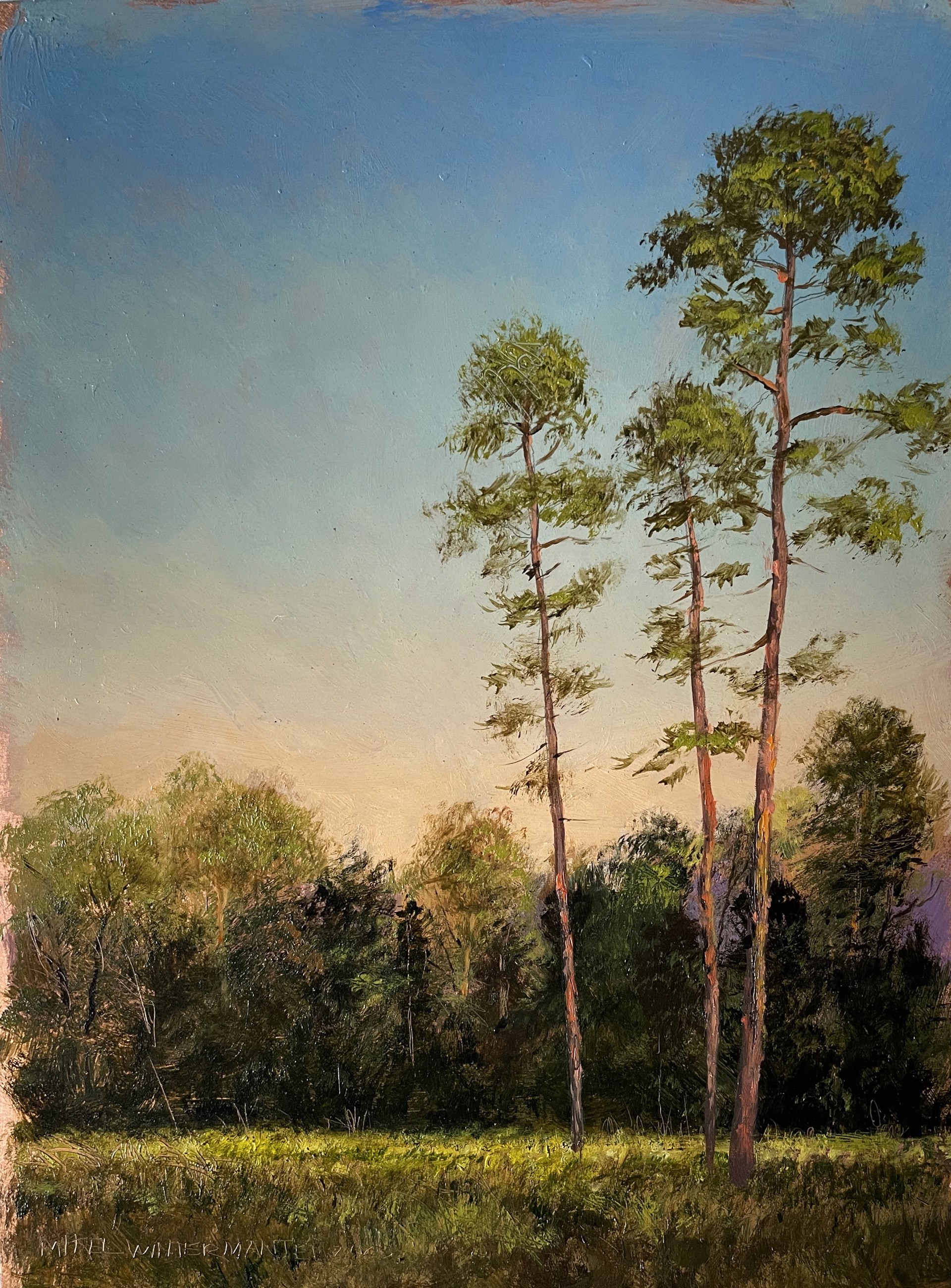 Gone Parkin' - SOLD by Mikel Wintermantel