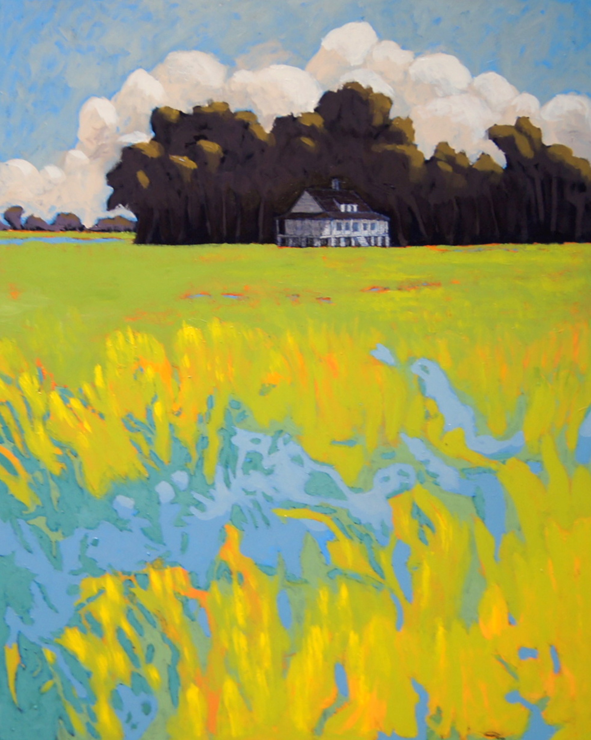 Lowcountry Homestead by John Townsend