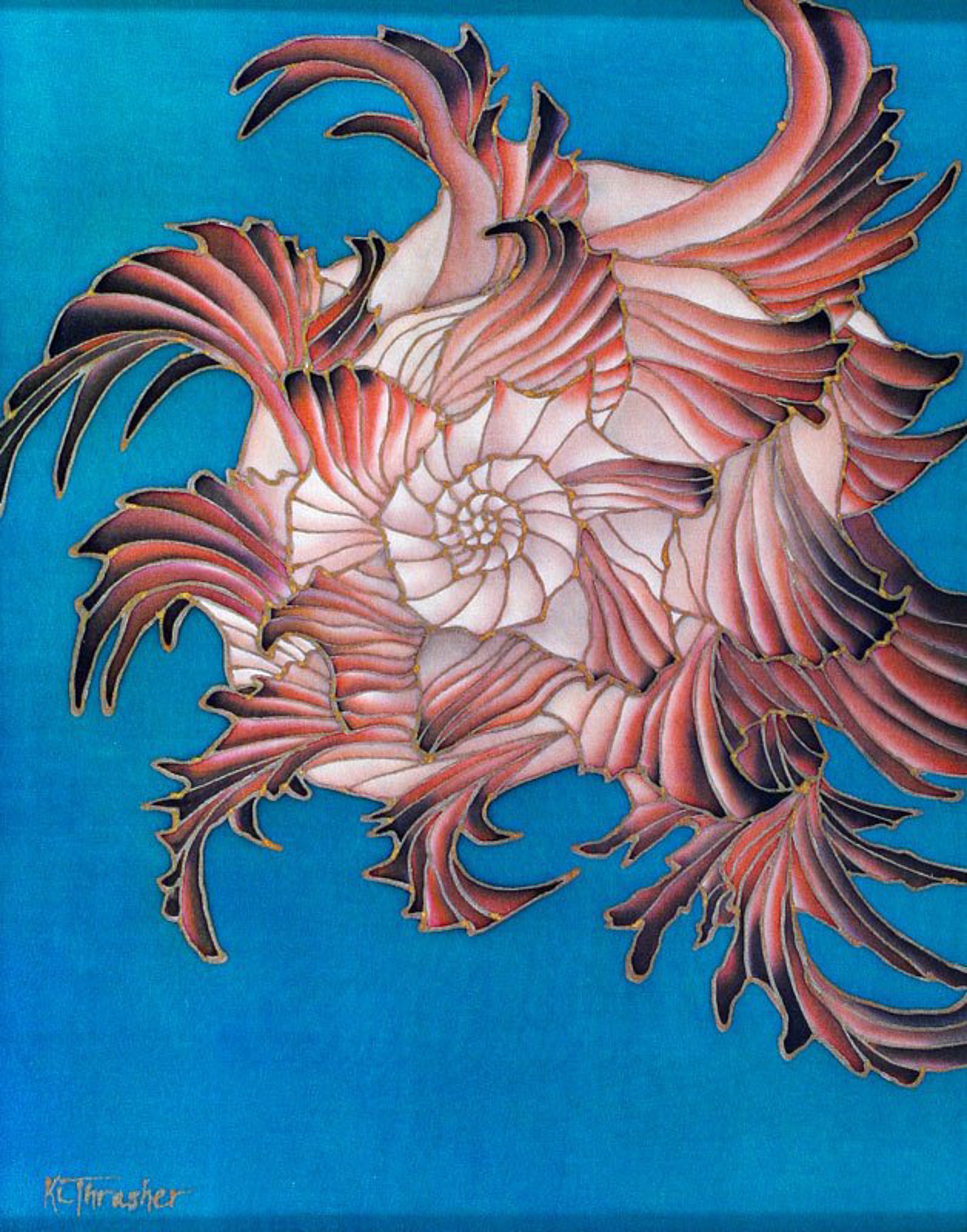 Endive Murex by Karen Thrasher