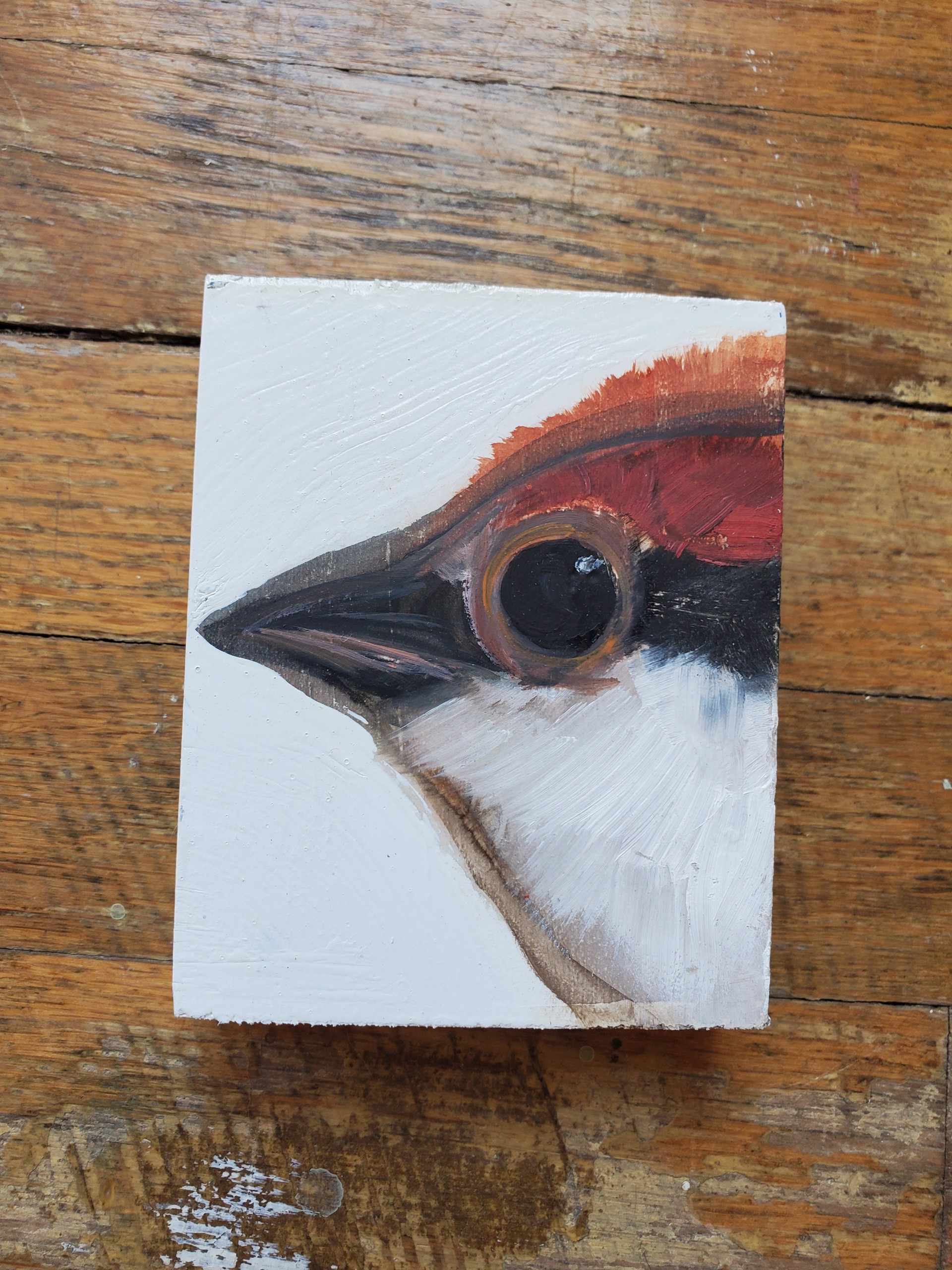 Small Bird Block by Diane Kilgore Condon