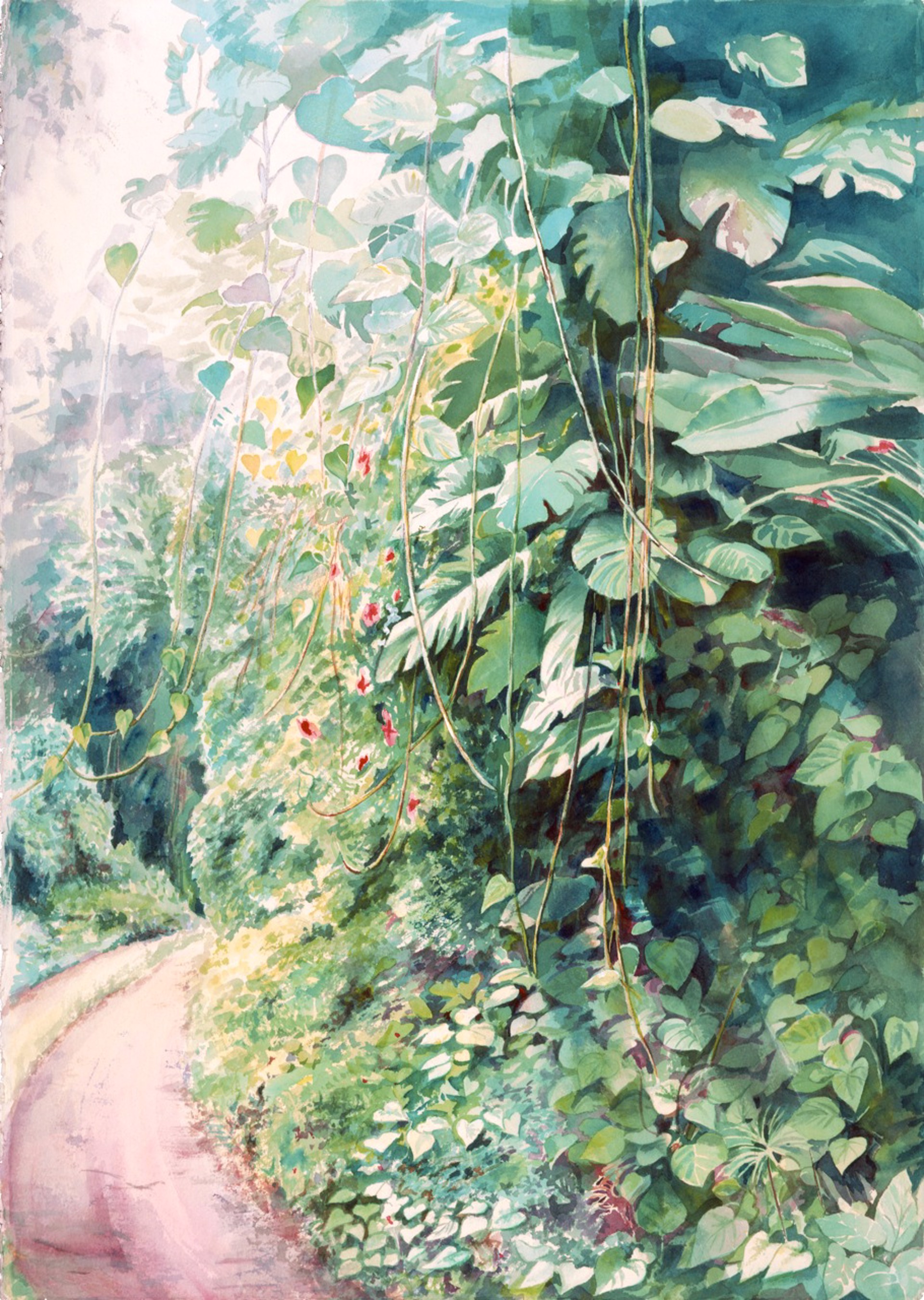 Sunlit Path by Joelle C.