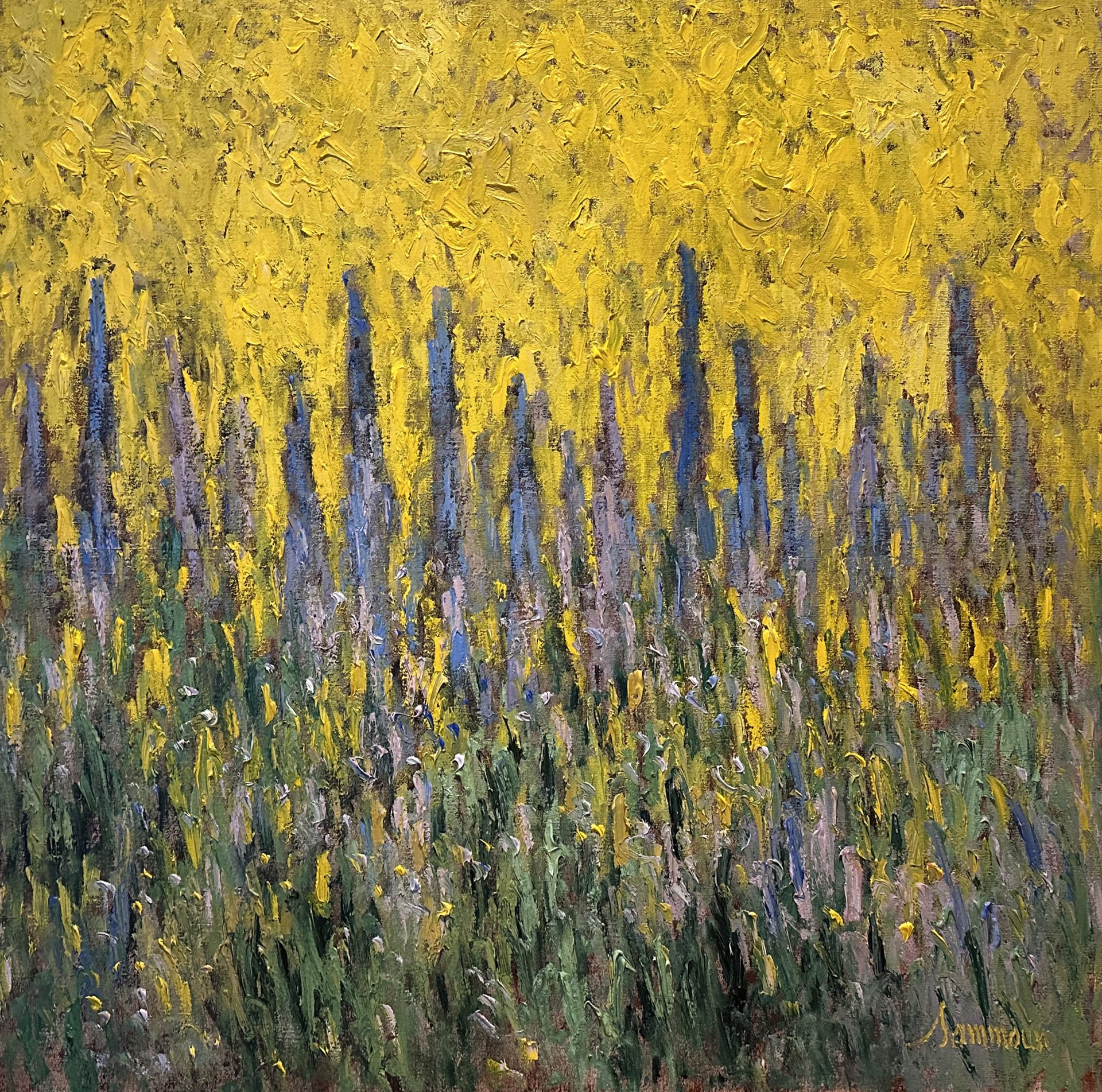 Lavande et Lumière III by Samir Sammoun