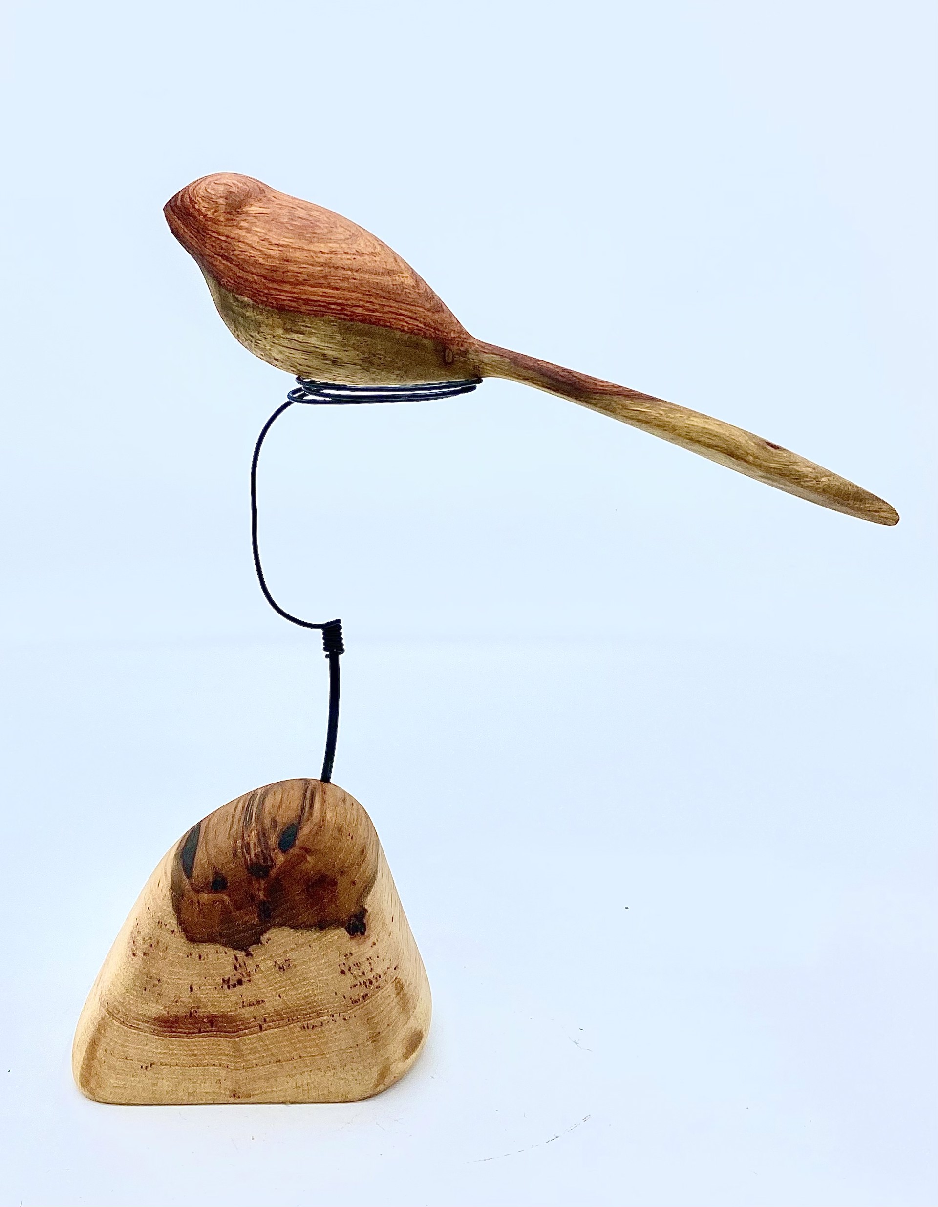 Amboyna/Pecan Wood Bird by Michael Stephenson