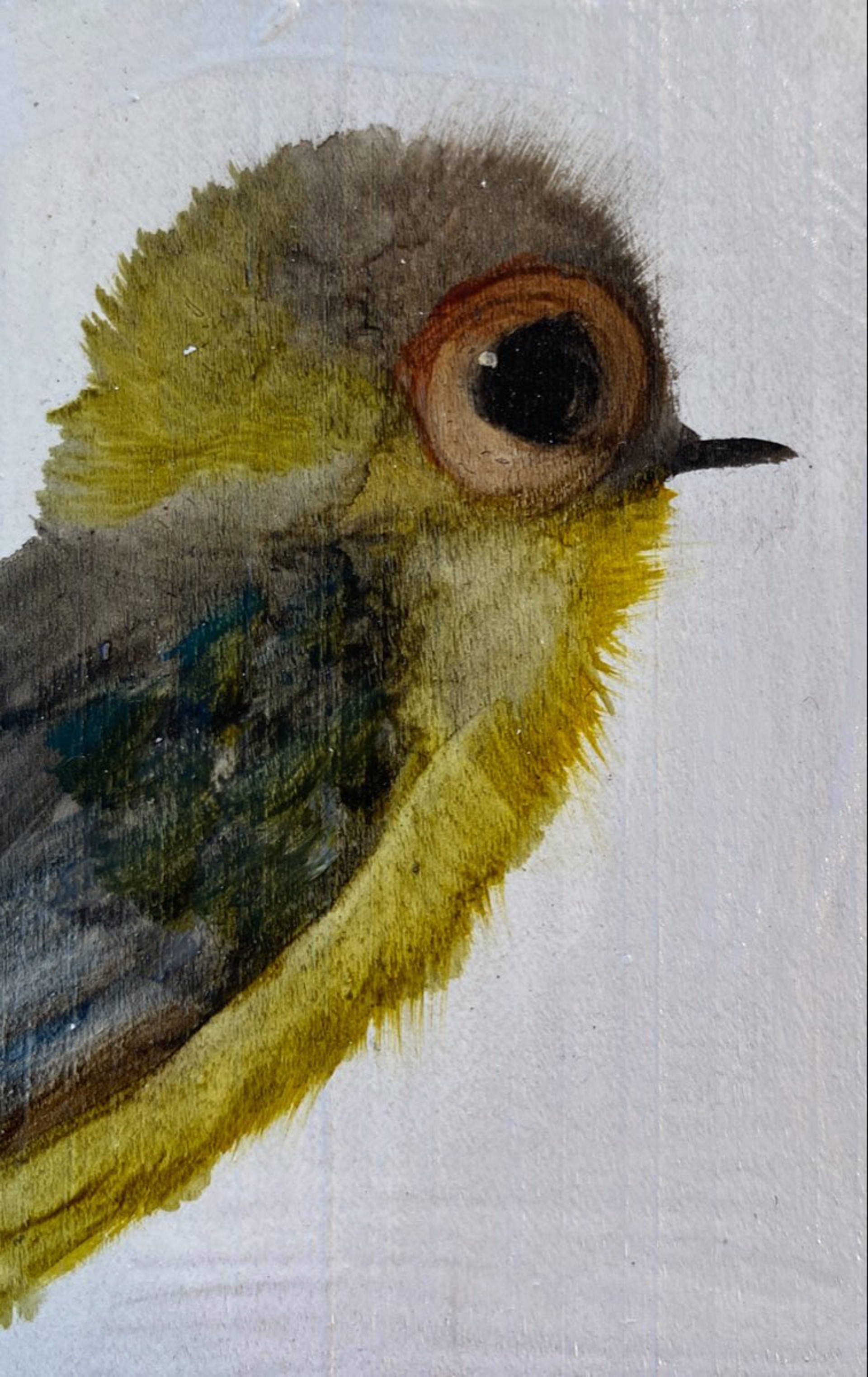 Bird Block (little beak) by Diane Kilgore Condon