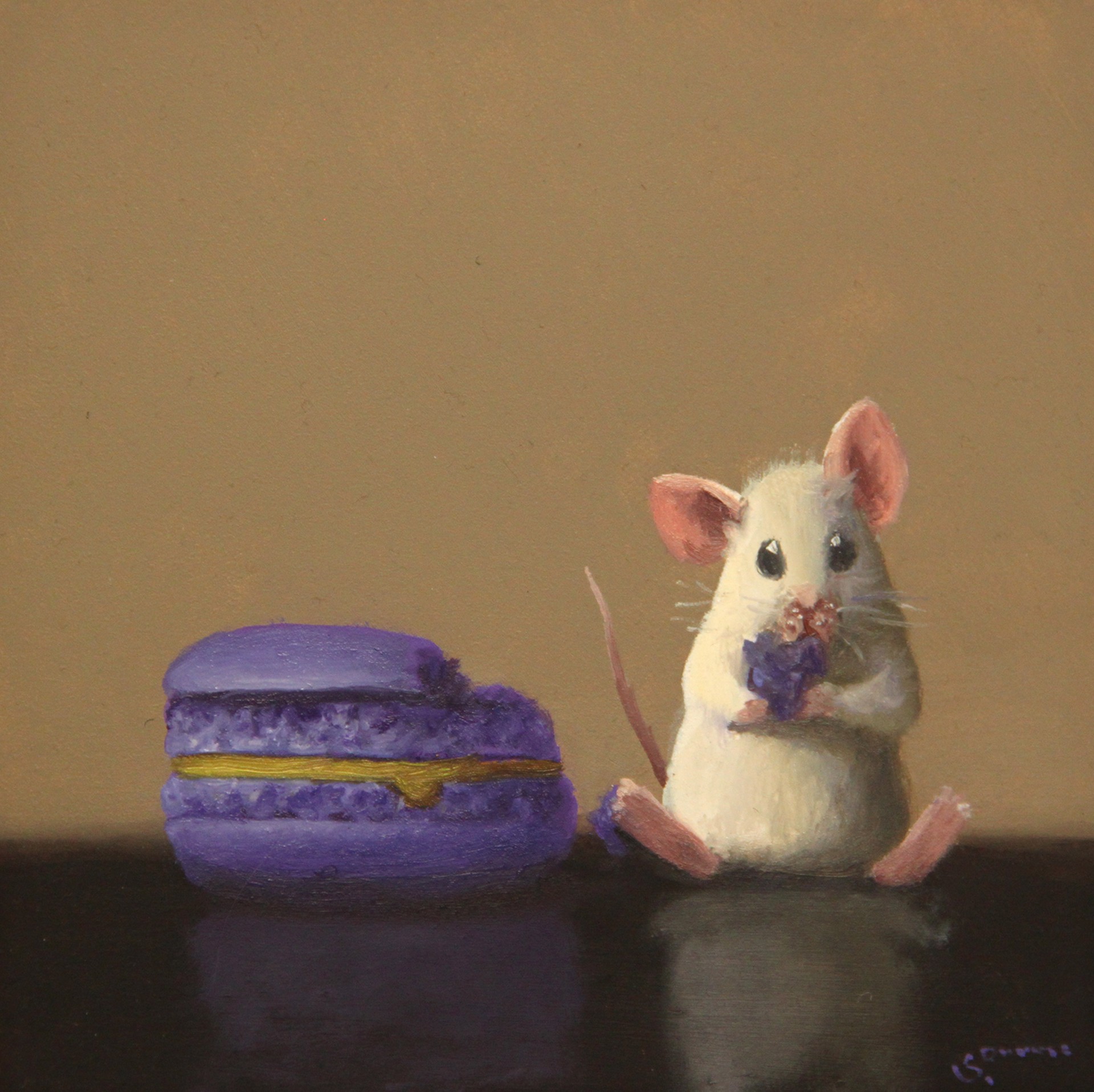 Macaron Nibbler by Stuart Dunkel