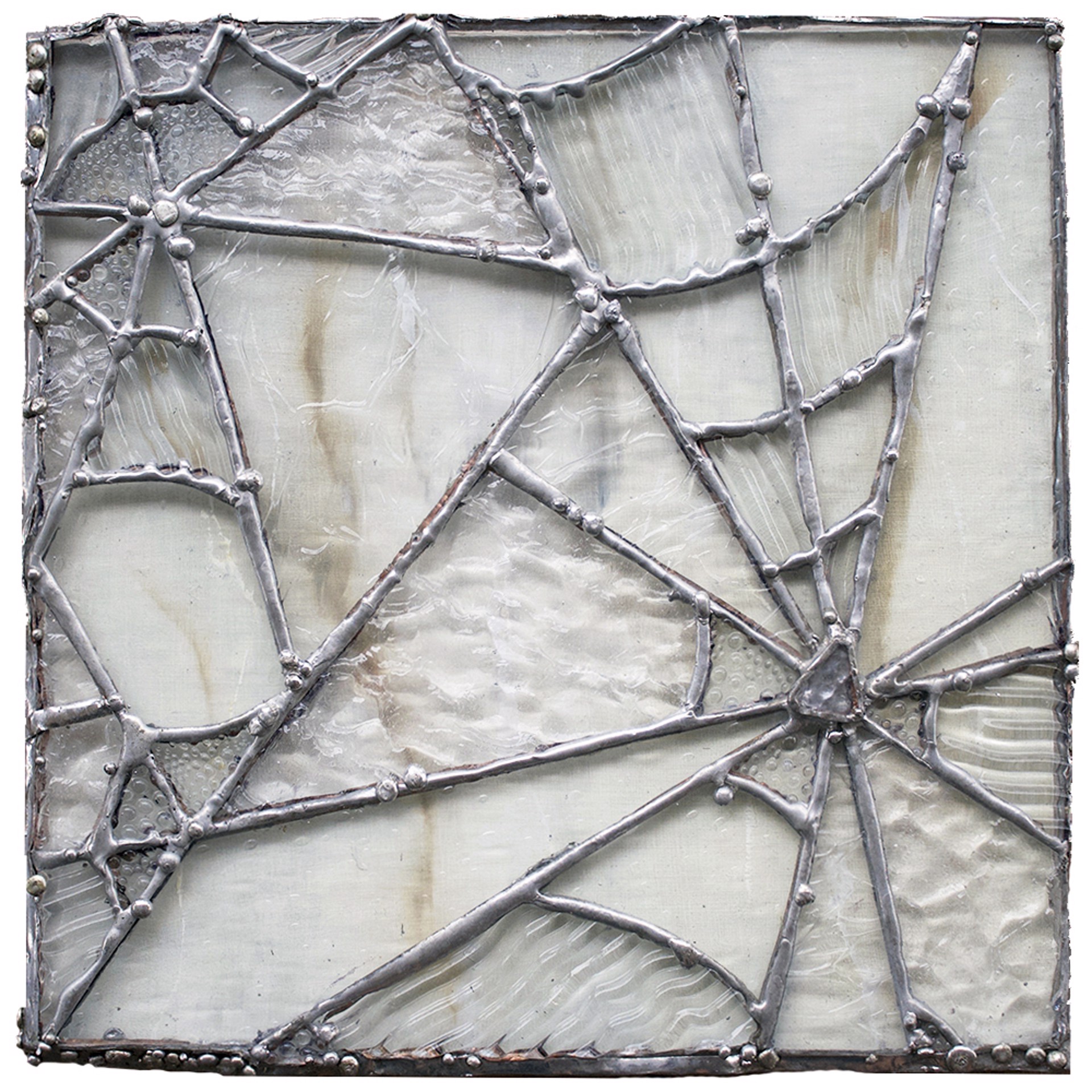 Fragile Webs 1 by Hayden Phelps