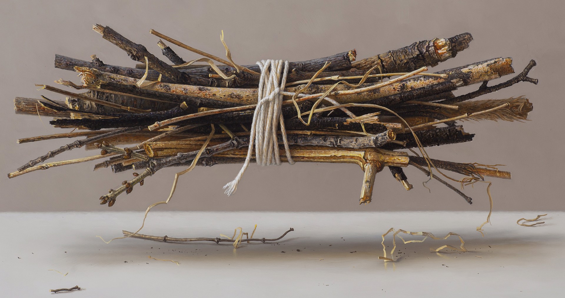 Sticks from Thompson Park by Scott Fraser