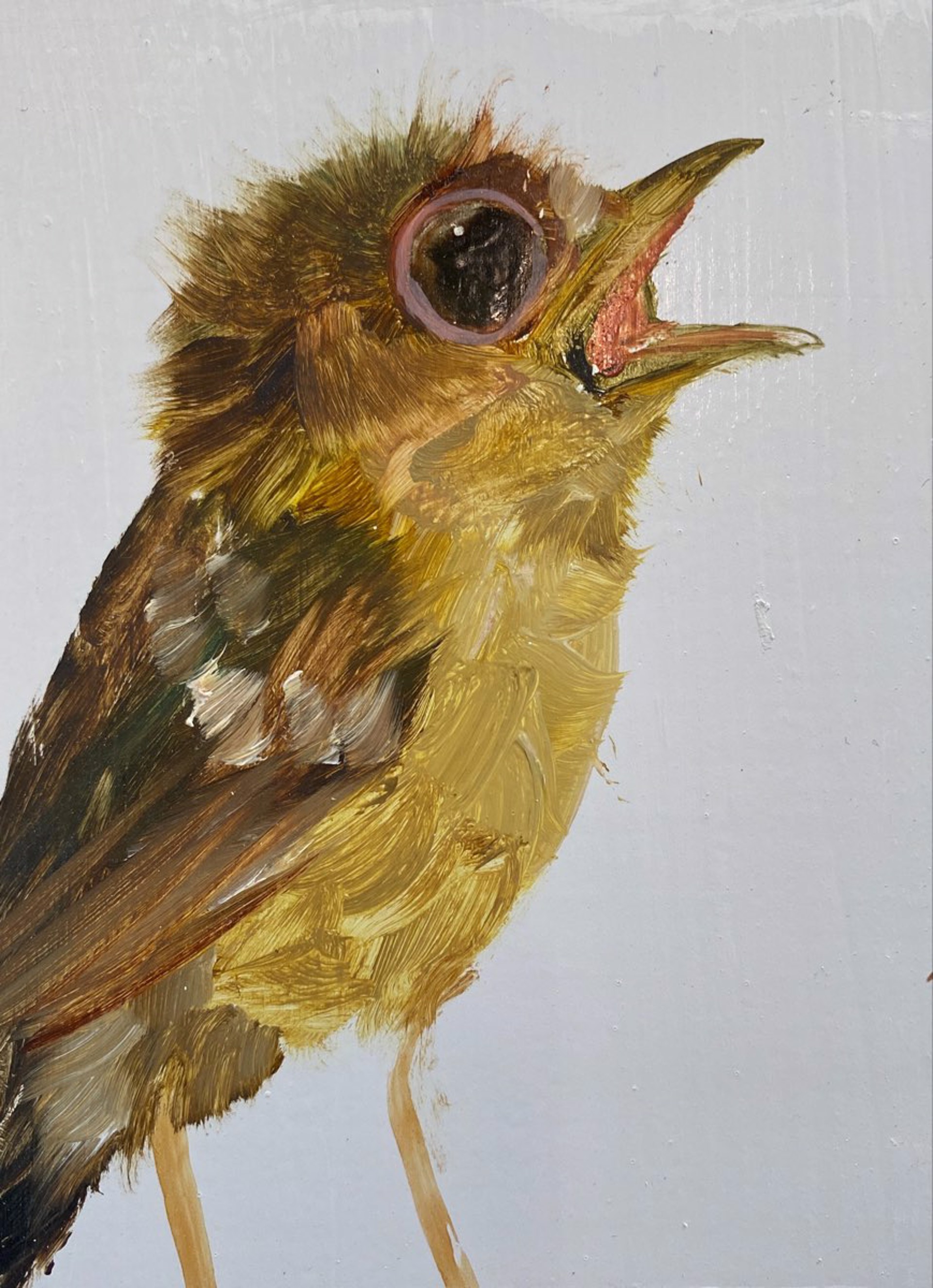 Bird Block (open beak) by Diane Kilgore Condon