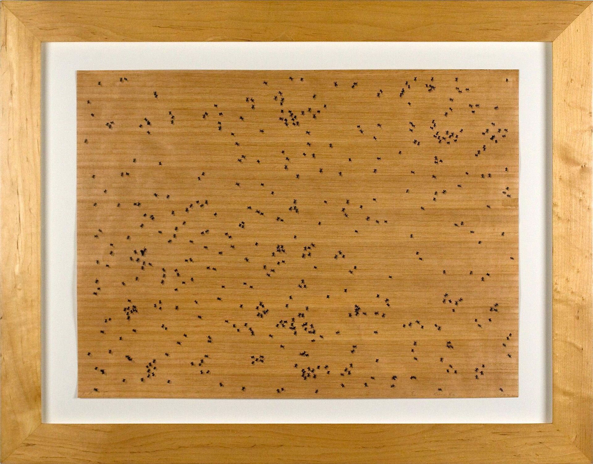 Black Ants [From Insects] by Ed Ruscha