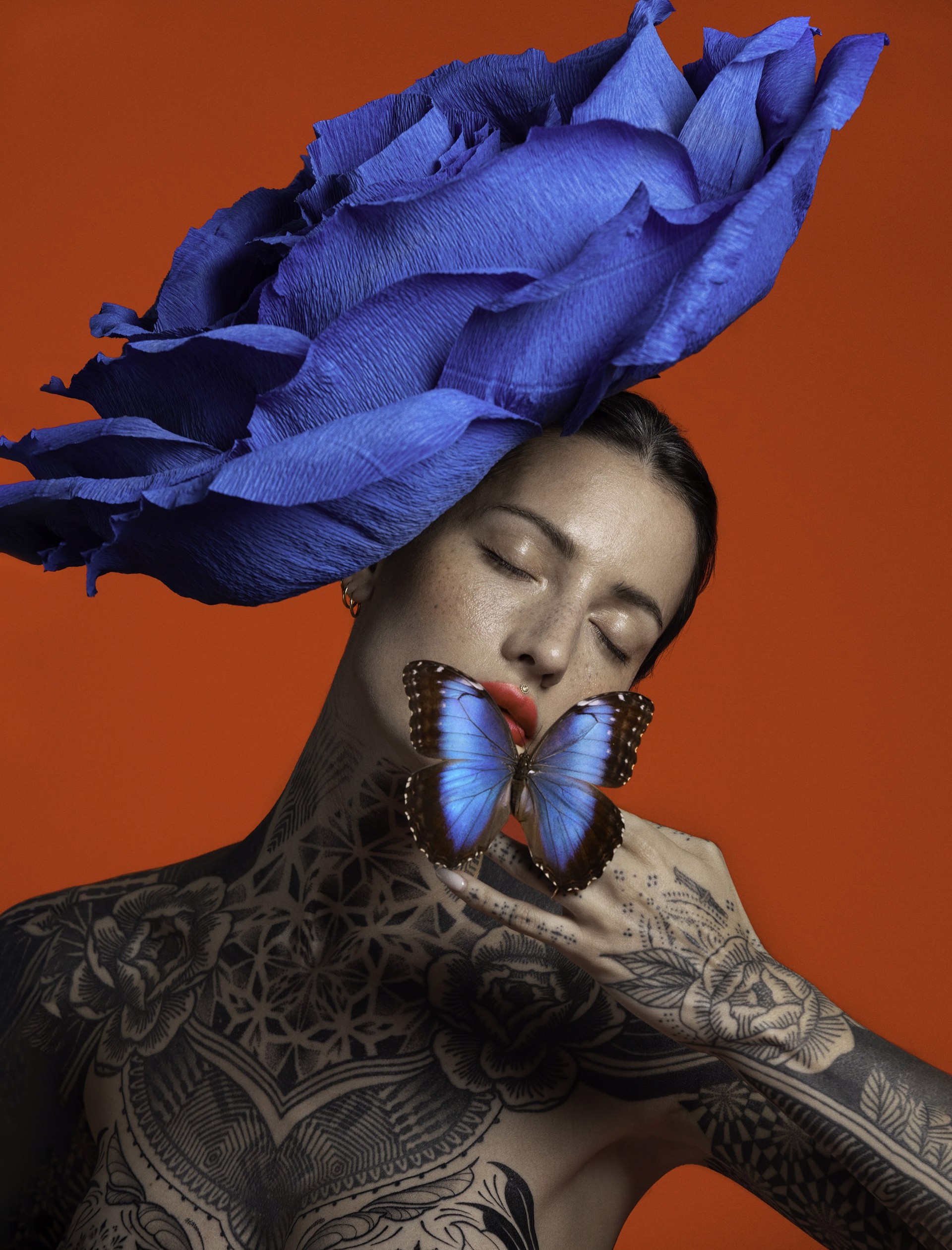 Entomophily by Reka Nyari