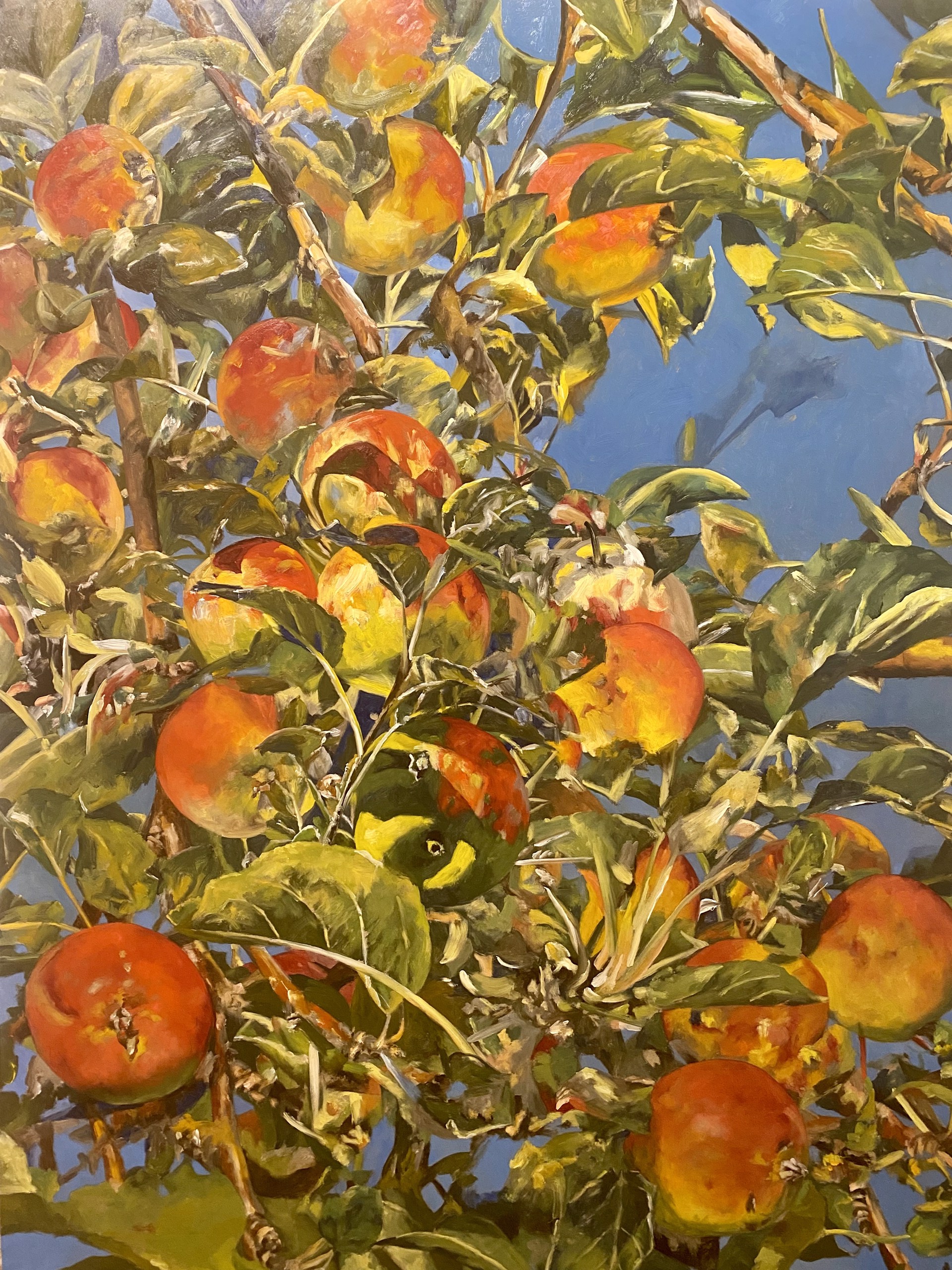 Susan's Apples by Malou Flato