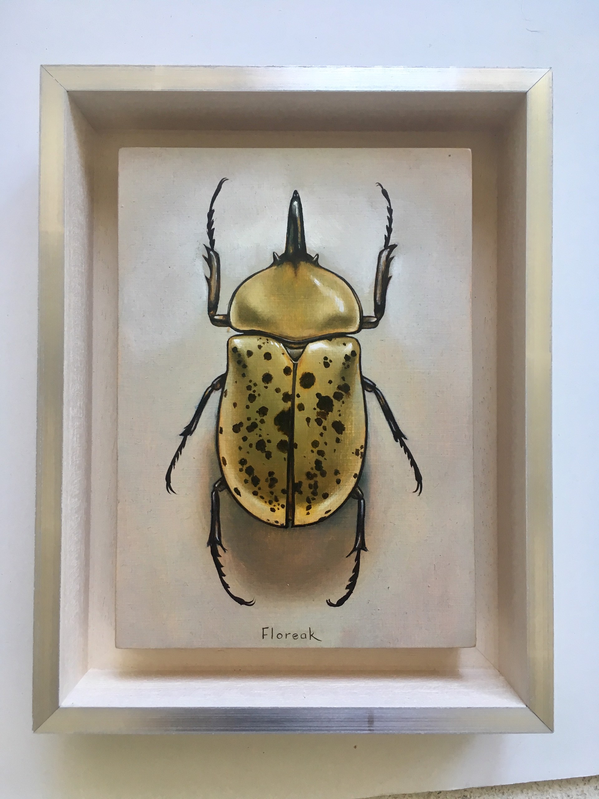 Hercules Beetle by Ida Floreak