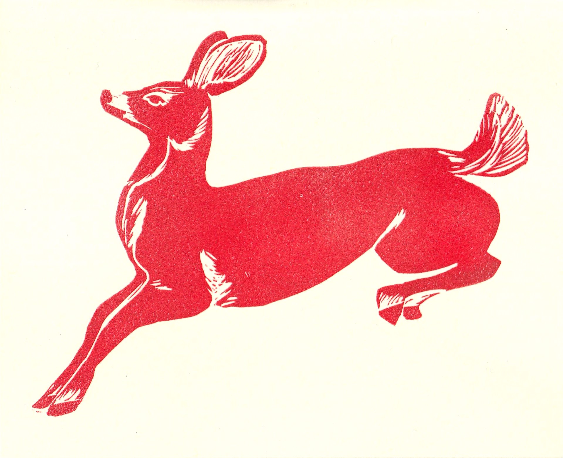 Red Deer Card by Kat Kinnick