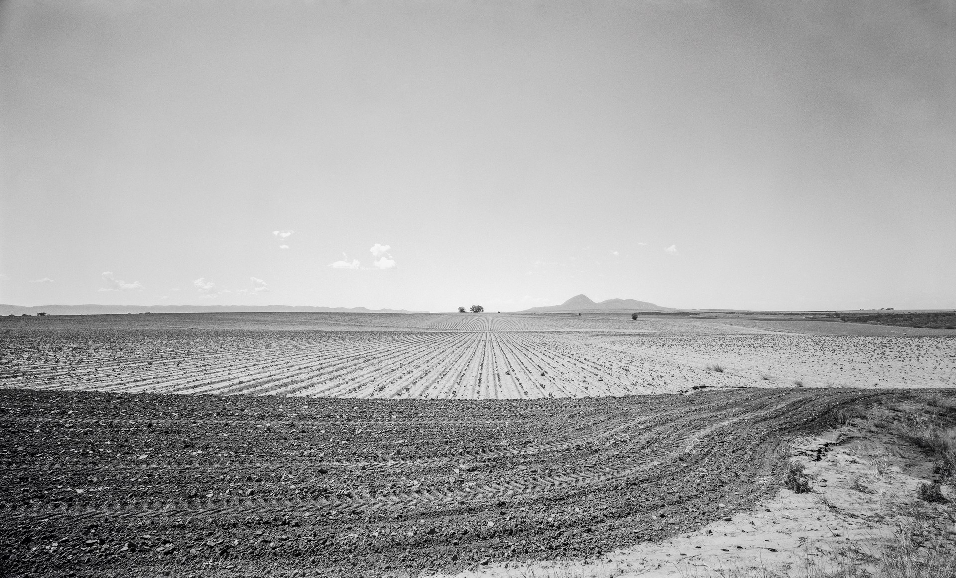 Plowed Field, Sleeping Ute Mountain, Near Cortez, Colorado by Lawrence McFarland