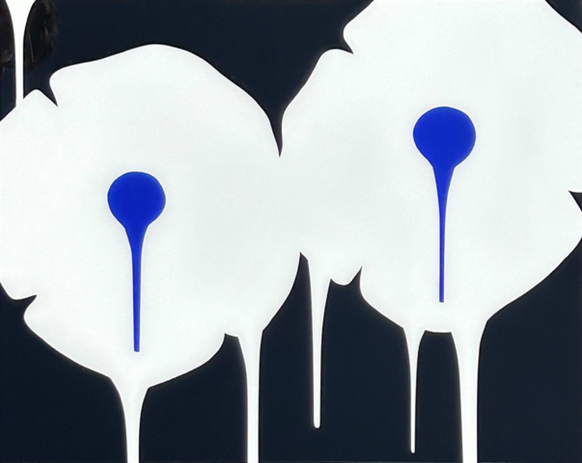 Two Flowers, White and Blue on Black by Hamilton Aguiar