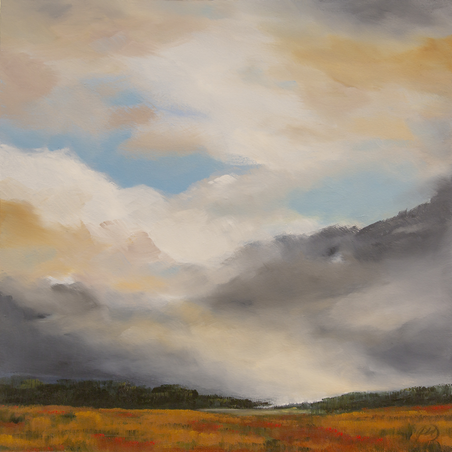 Cloud Break at Dawn by Paula Wallace