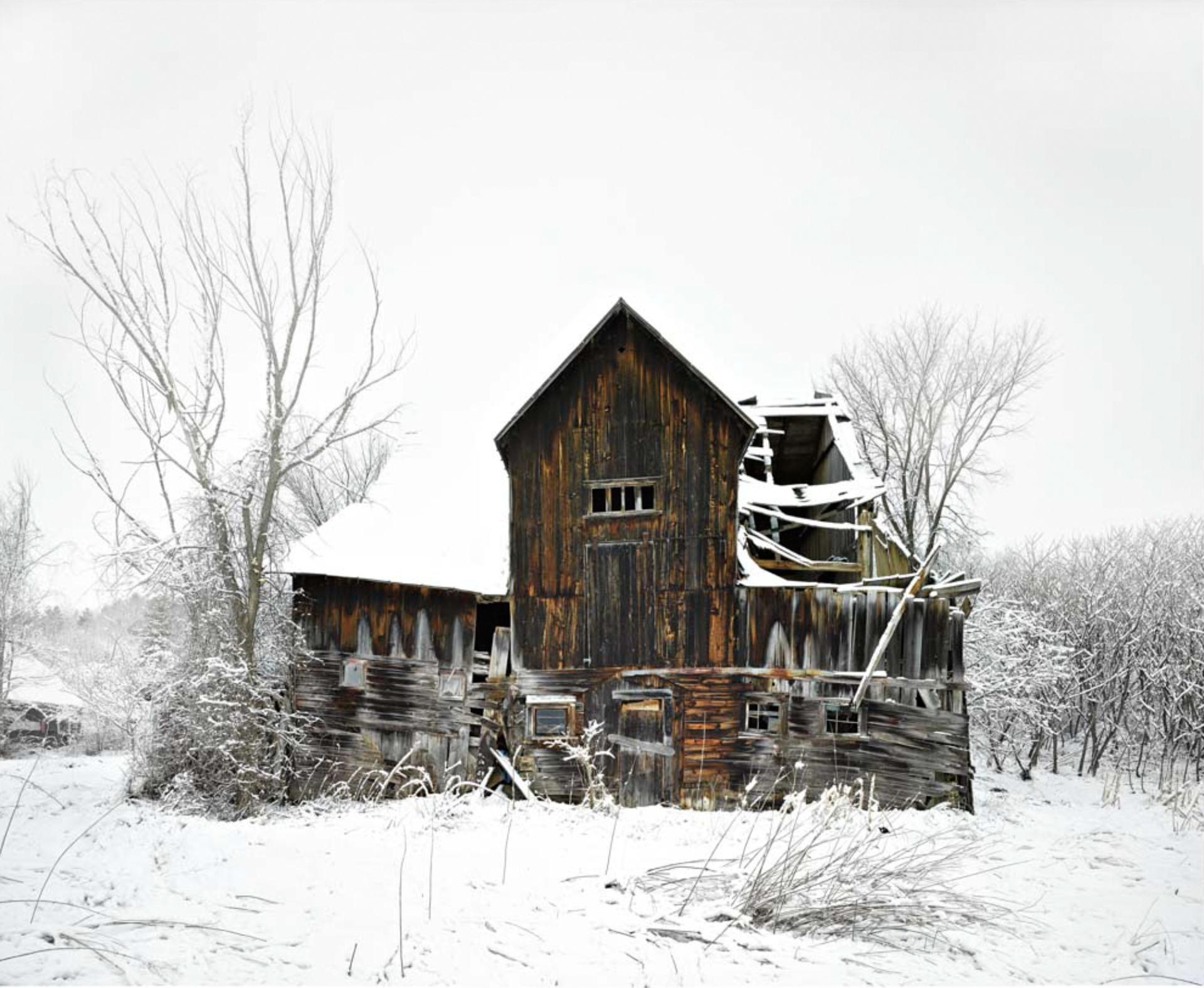 Silver Maple Barn by Jim Westphalen