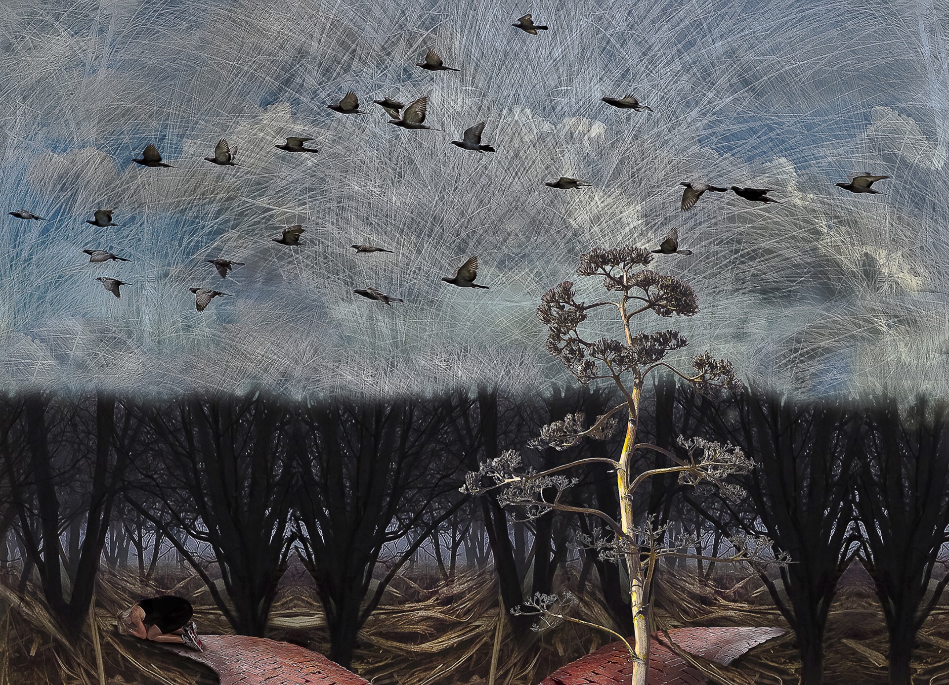 Convergence by Leslie Elliottsmith