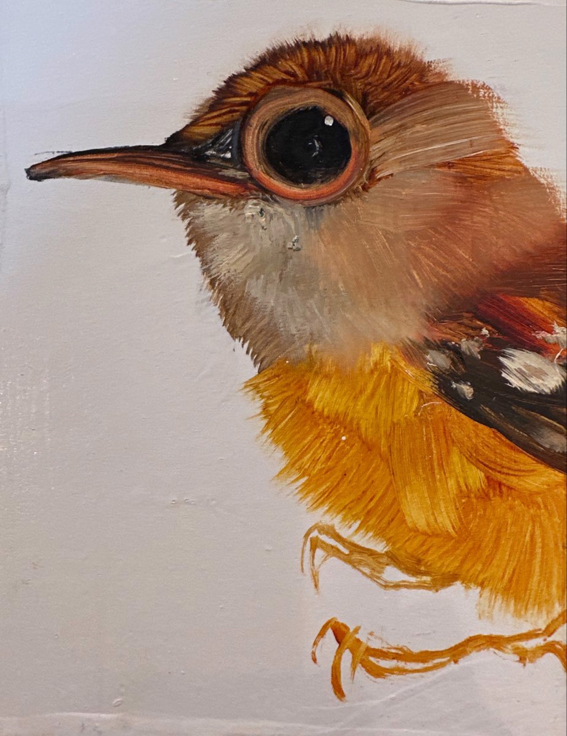 Bird Block (orange belly) by Diane Kilgore Condon
