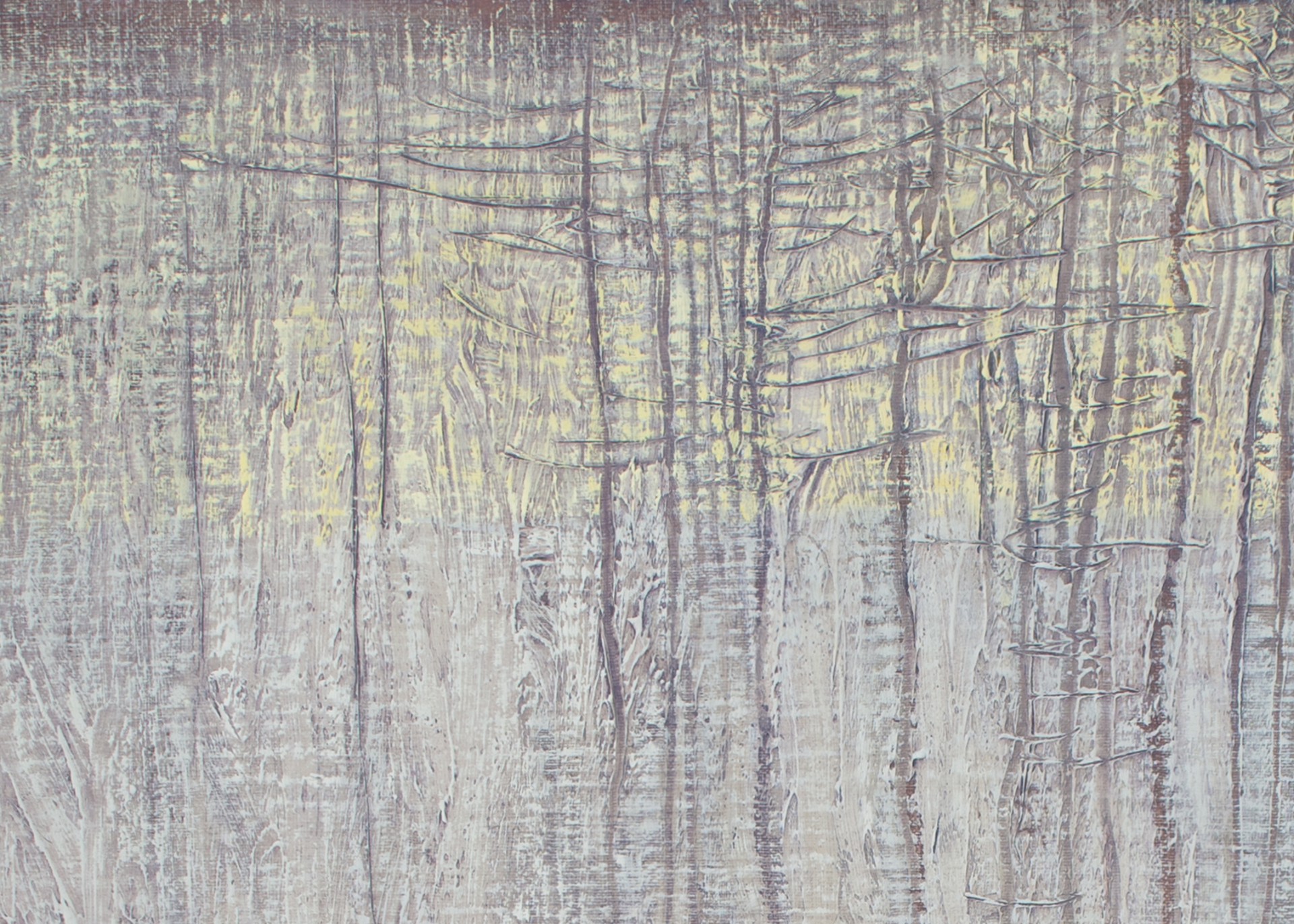 Winter Forest Textures by David Grossmann