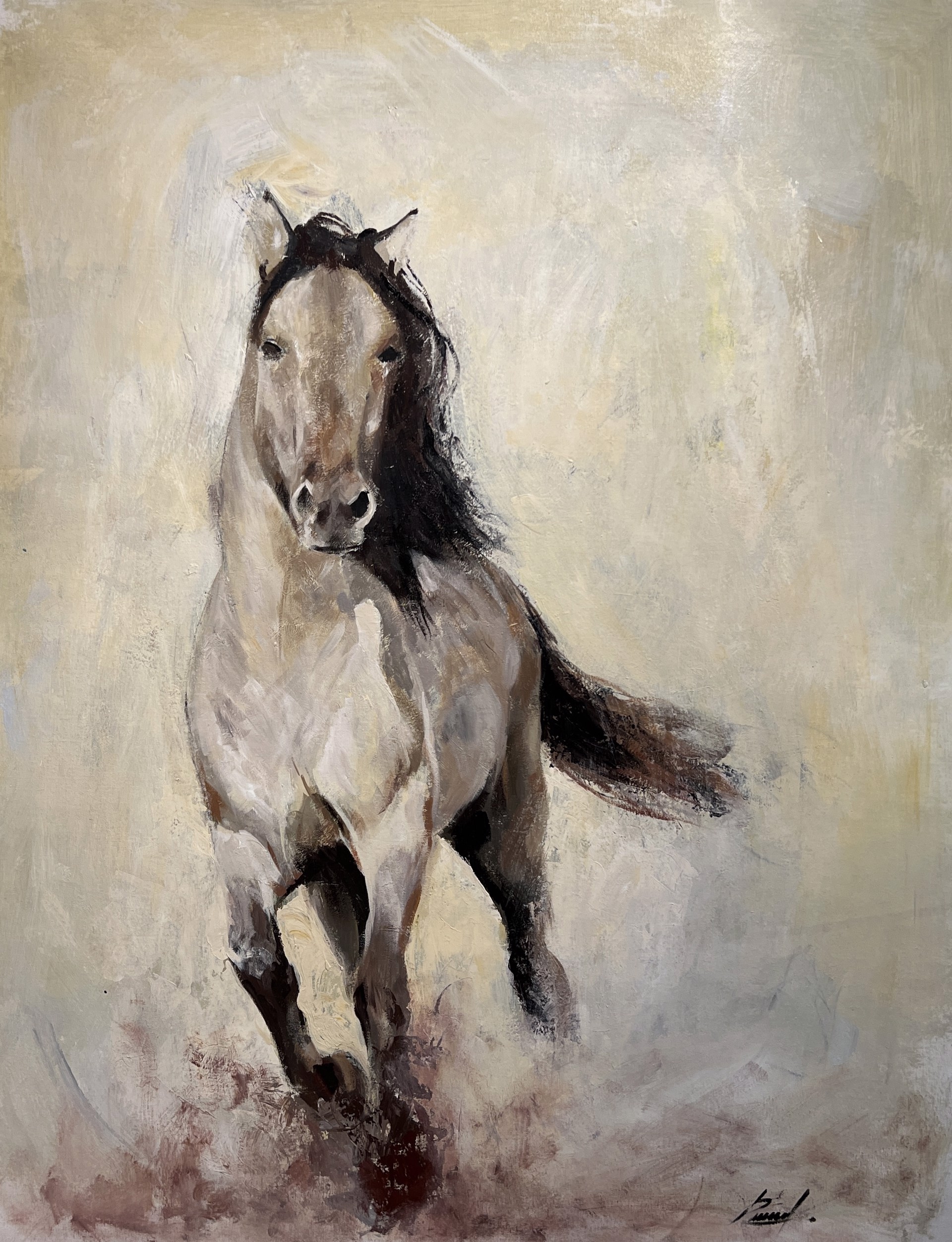 WILD HORSE by PABLO ULLOA