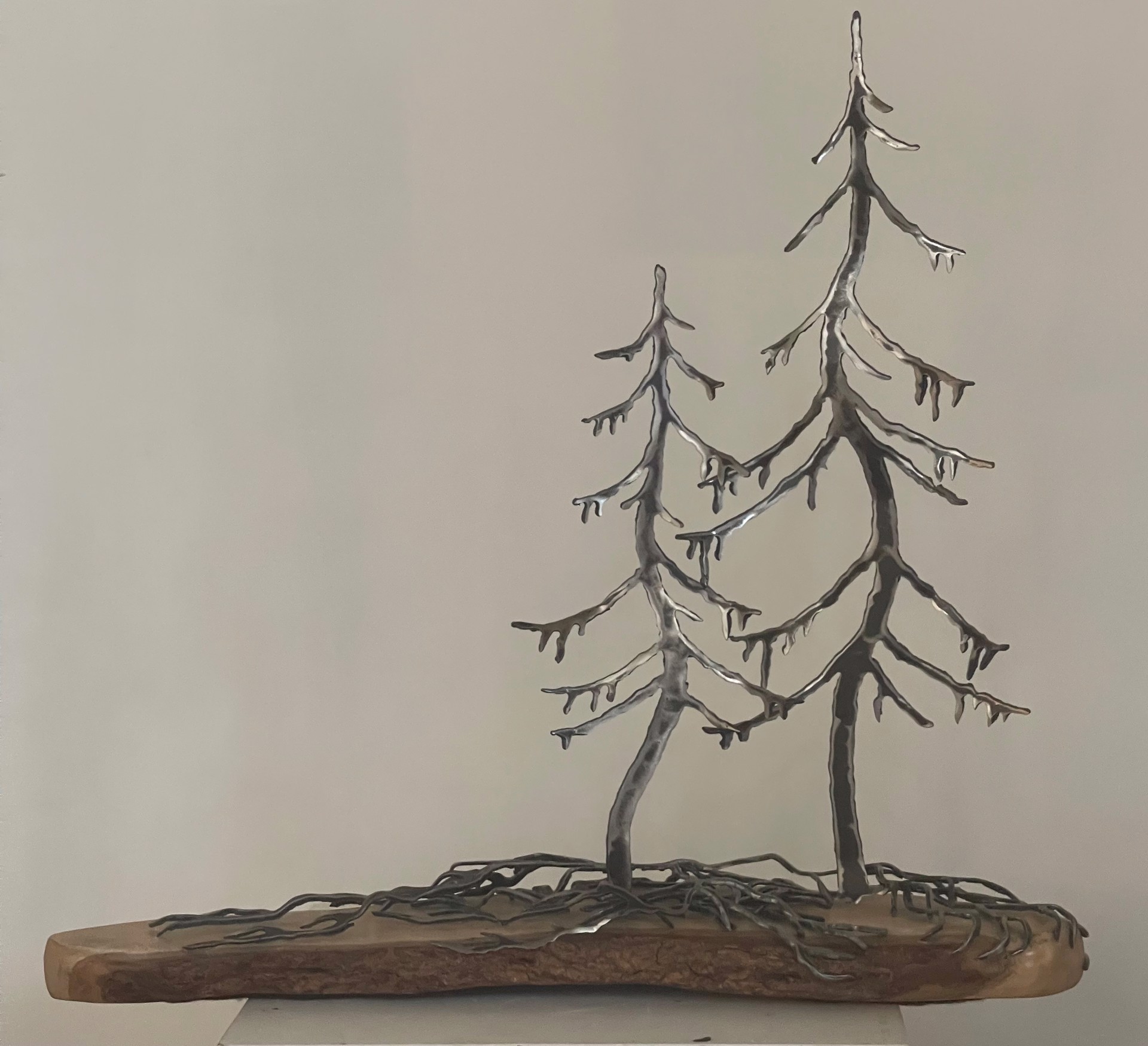 Two Windswept Pine on Maple 659379 by Cathy Mark