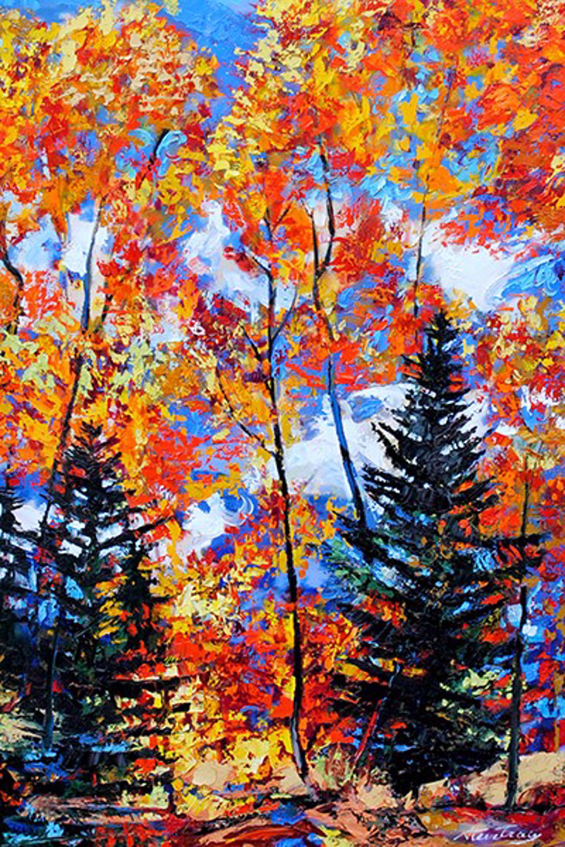 Autumn by Steve Tracy