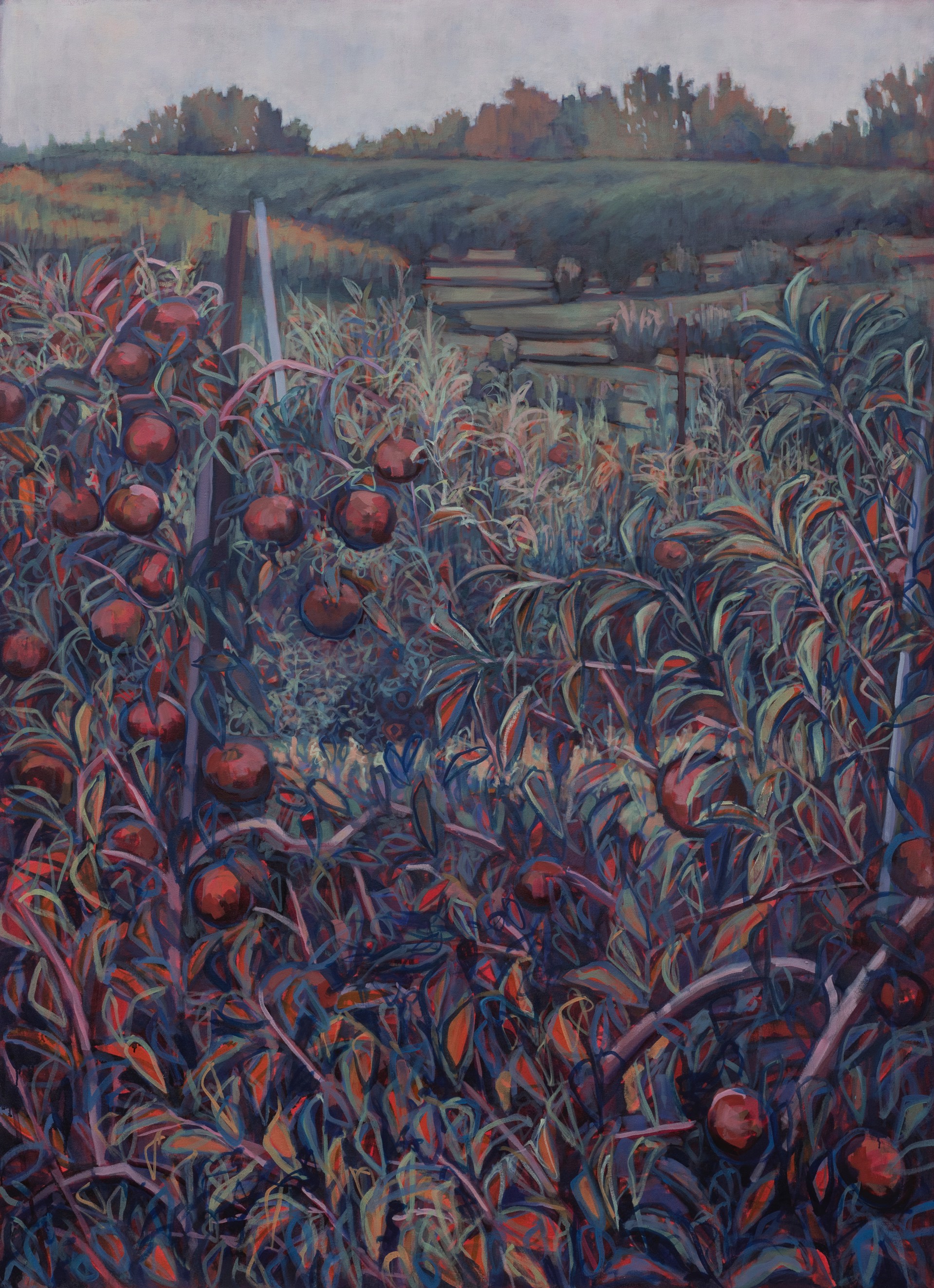 Fennville Orchard by Nina Weiss