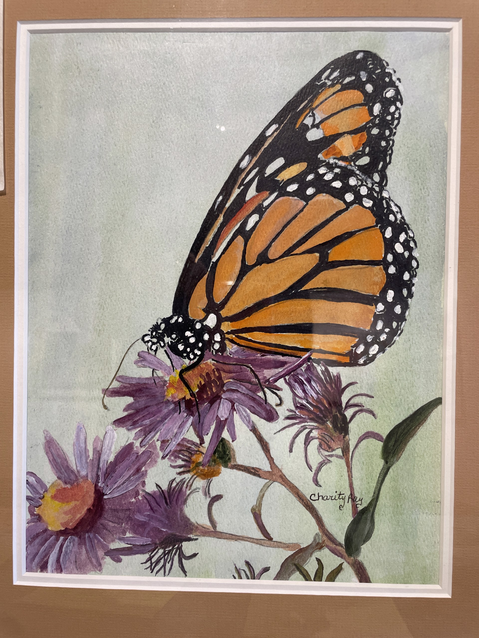 Monarch on Purple Coneflower by Charity Ray