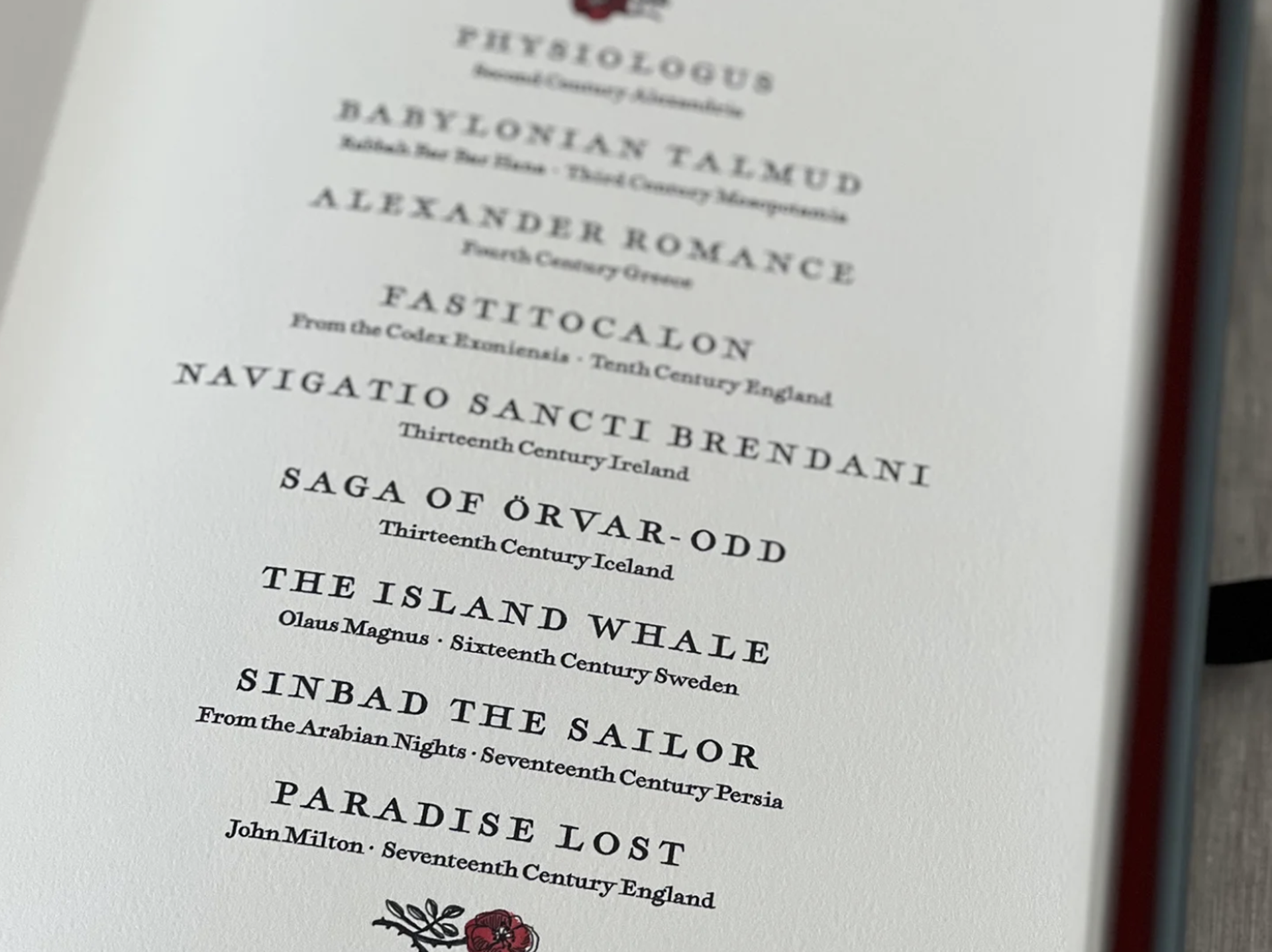 The Island Whale by Anneli Skaar