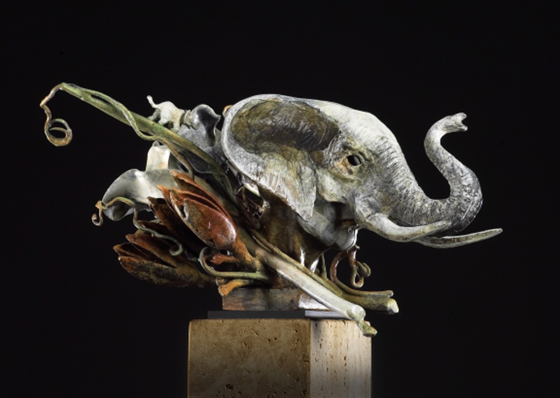 Elephant Run by Theodore Gall