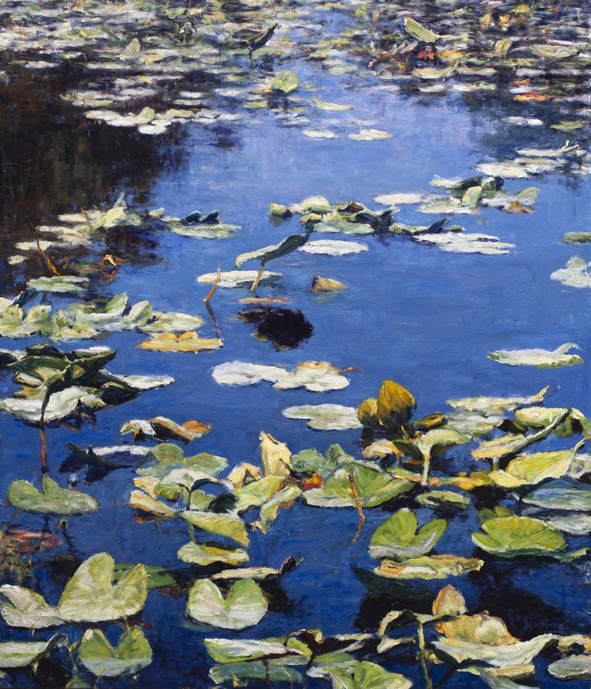 Lily Pads on Blue Water by Gary Bowling