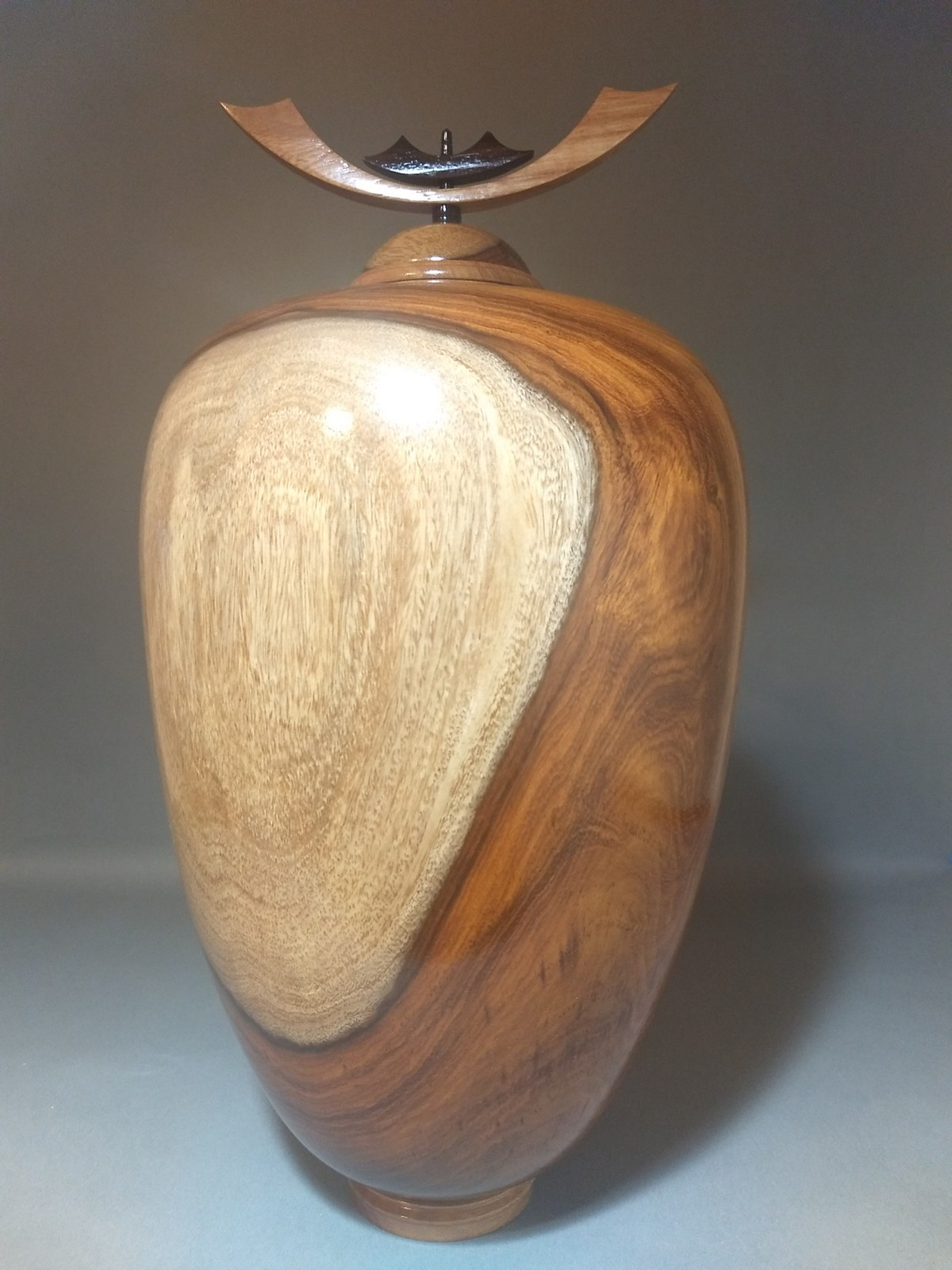 Indian Rosewood IV by John Mascoll