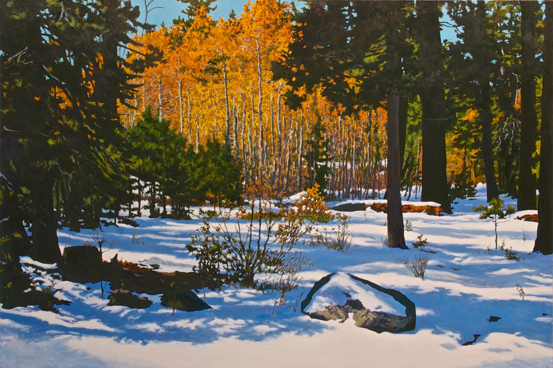 Fallen Leaf Trail in Snow by Peter Loftus