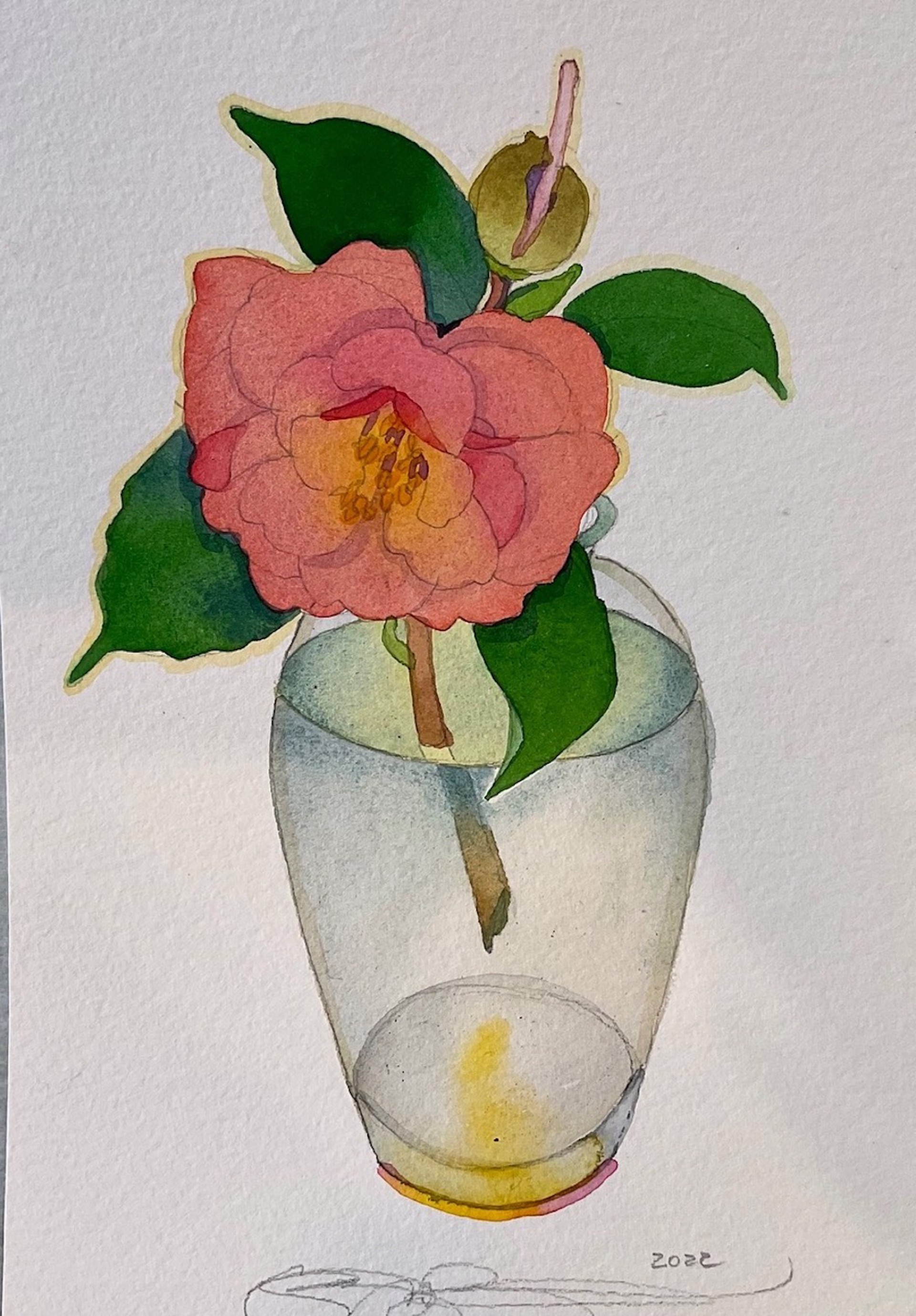 Camellia Study no. 1 by Gary Bukovnik