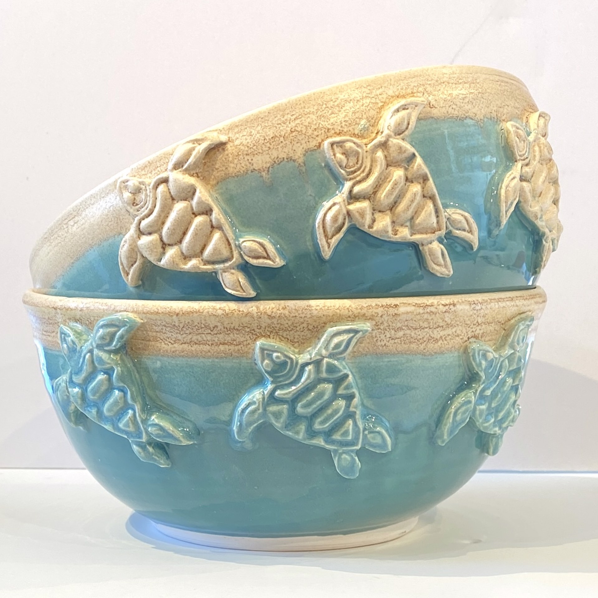 Large Turtle Bowl by Ilene Olanoff