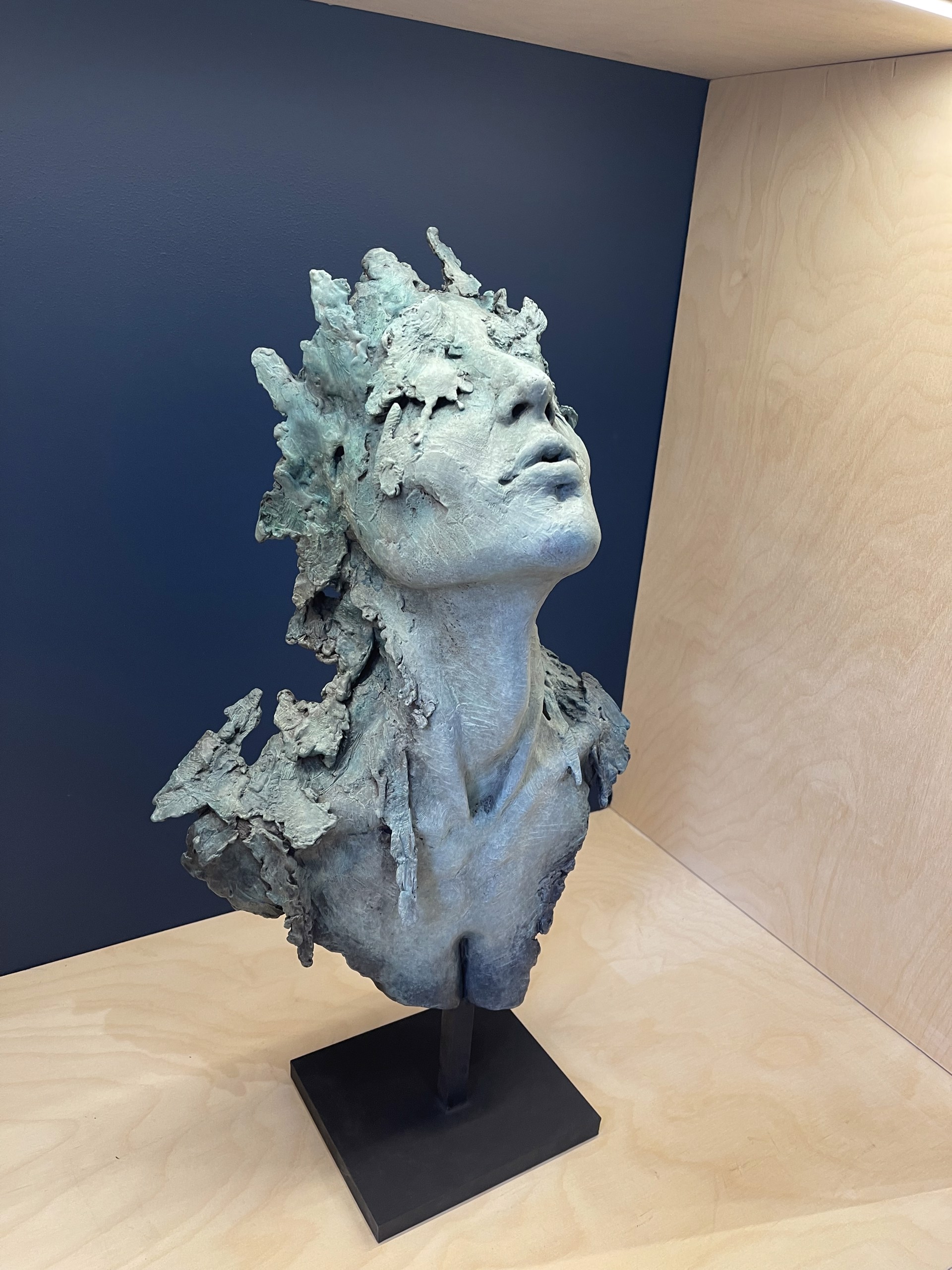 Coralia by Damon Price