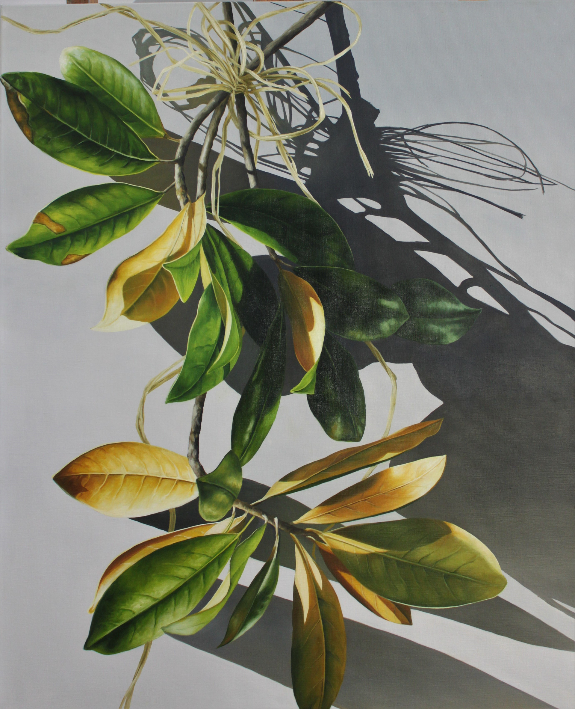 Hanging Magnolia by Loren DiBenedetto, OPA
