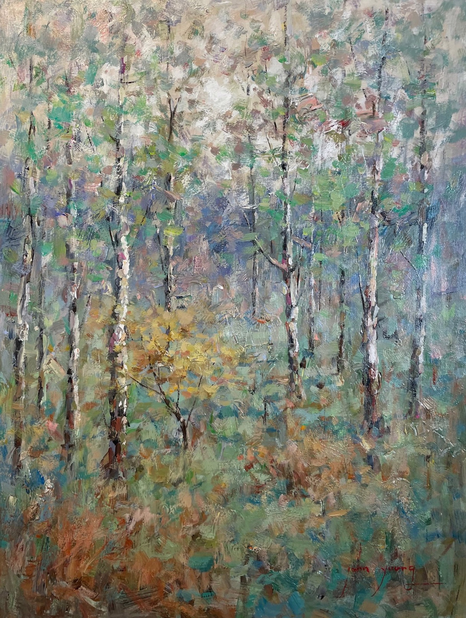 Forest by John Young