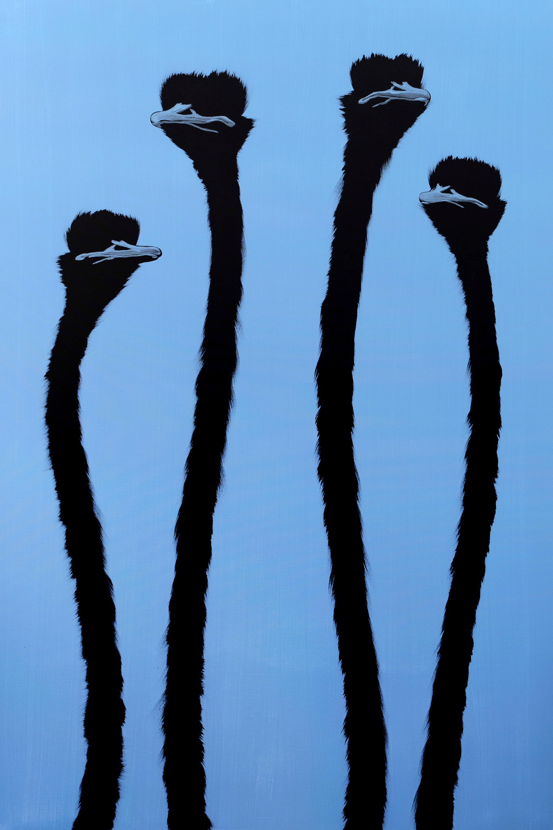 Four Blue Ostrich On Blue by Josh Brown