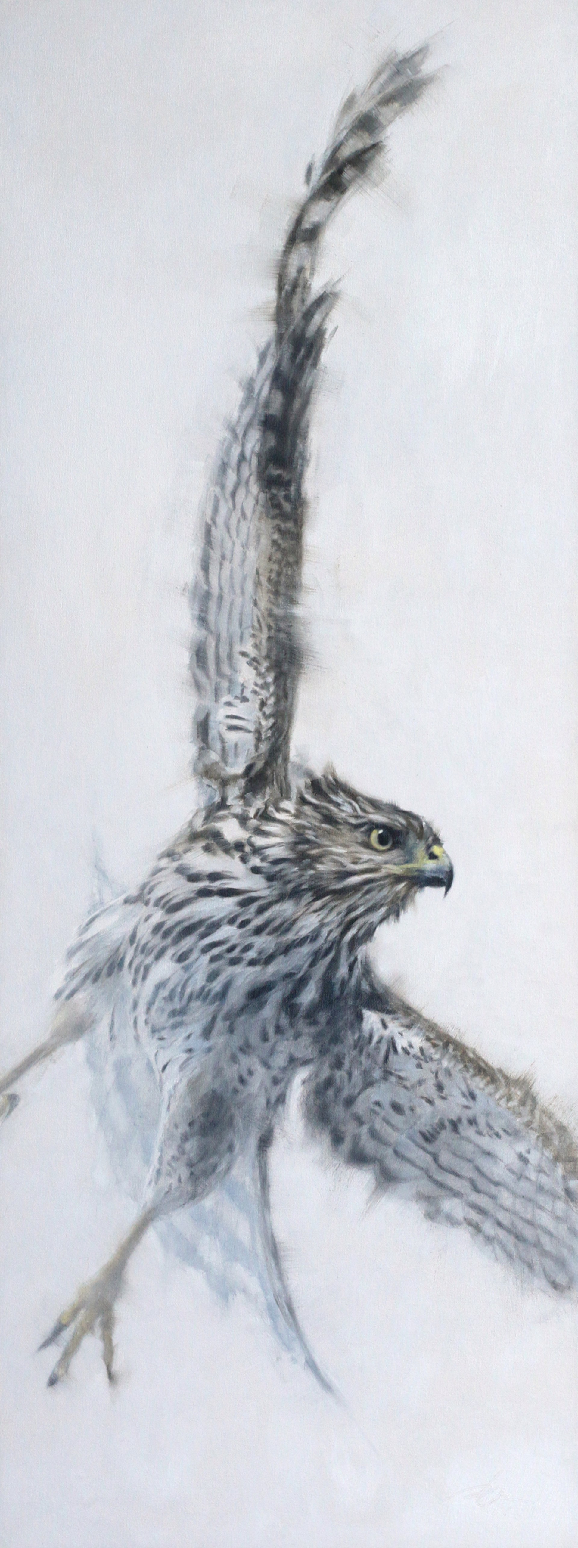 Original Oil Painting Featuring A Cooper's Hawk With White Snowy Background