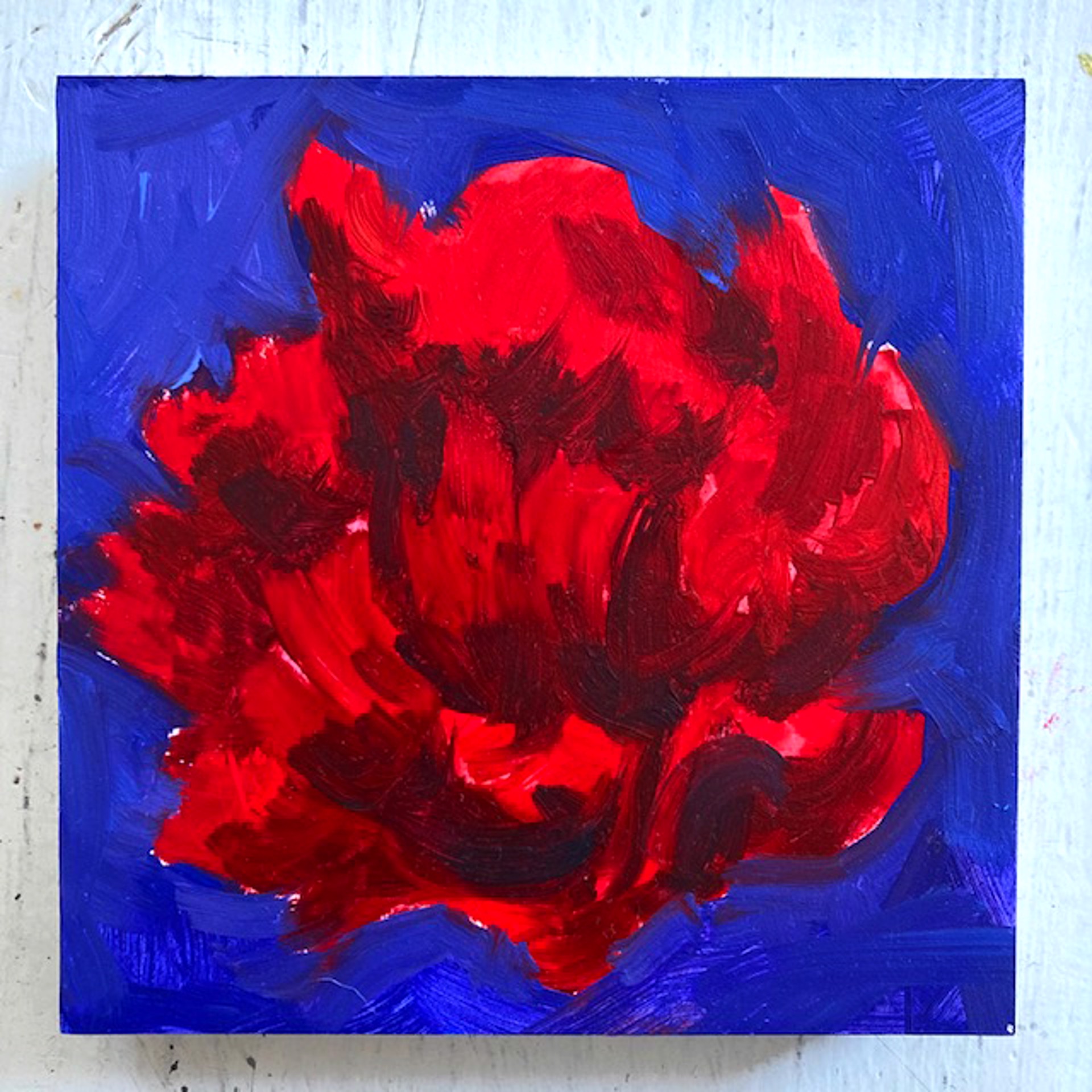 Peony Project #43 by Amy R. Peterson*