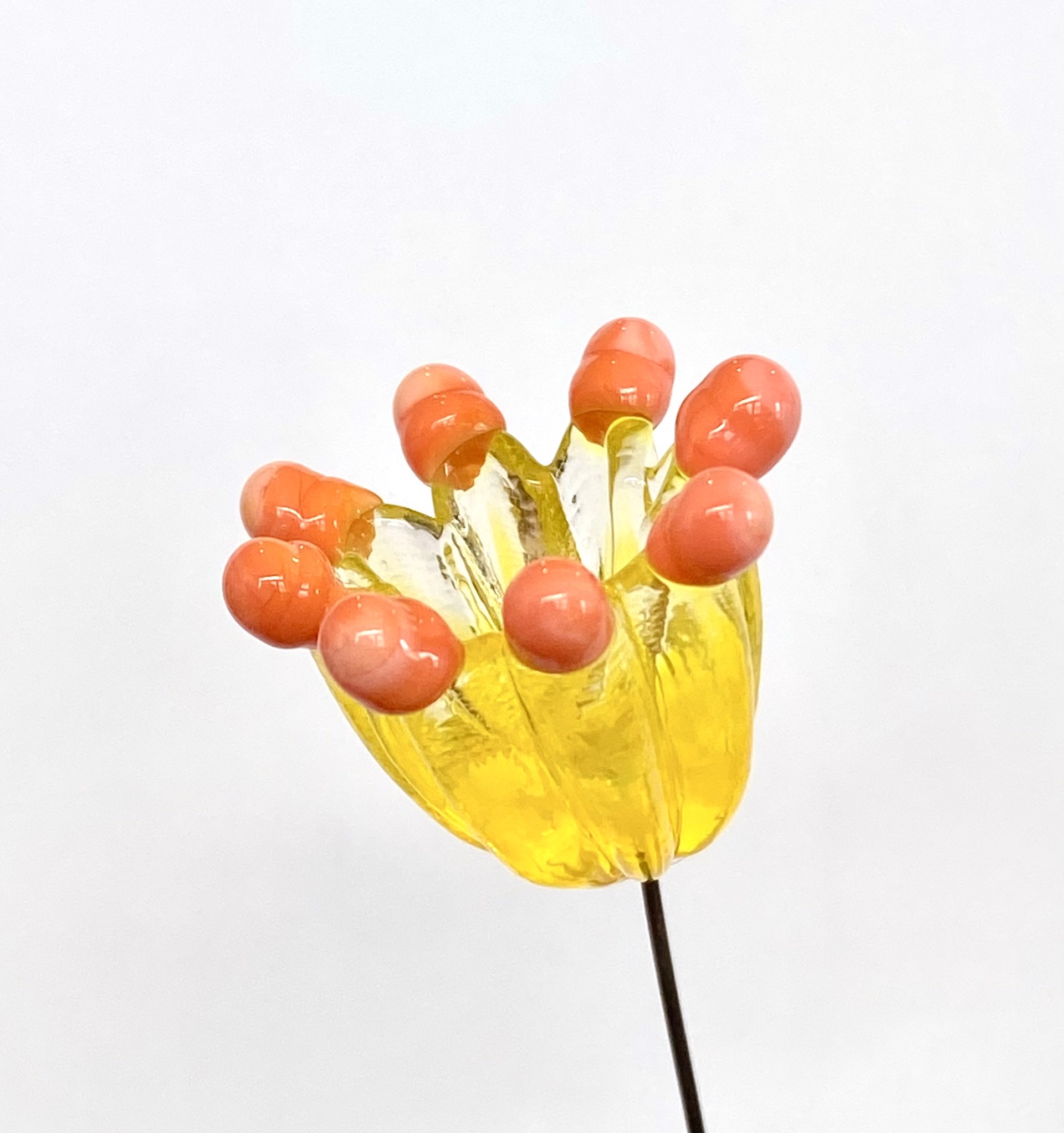 Glass Yellow & Orange Dotted Flower by Emelie Hebert