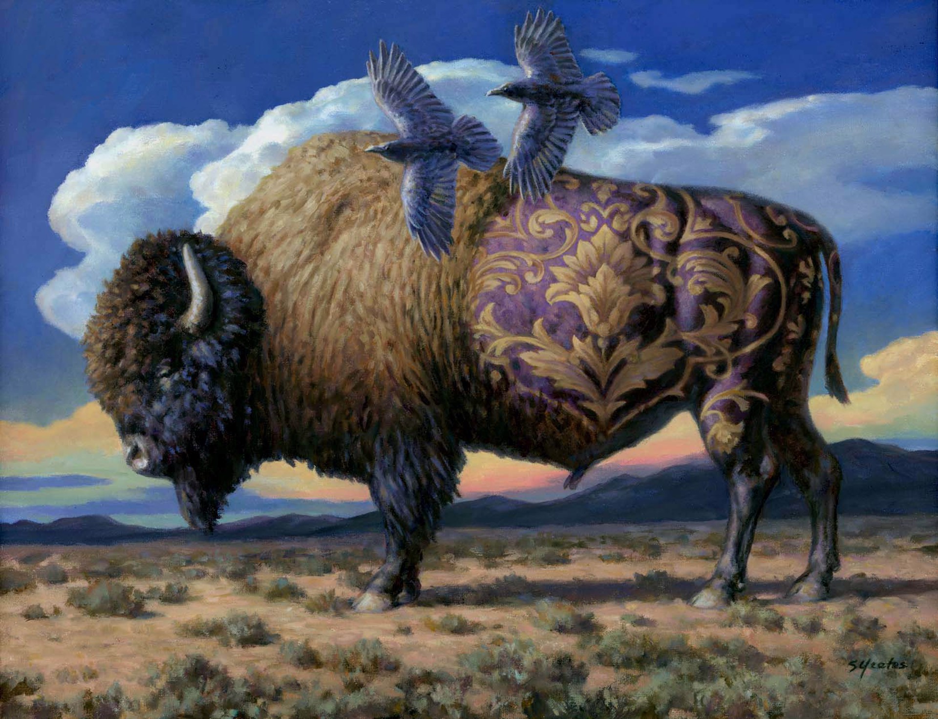 Buffalo Dreaming by Sam Yeates