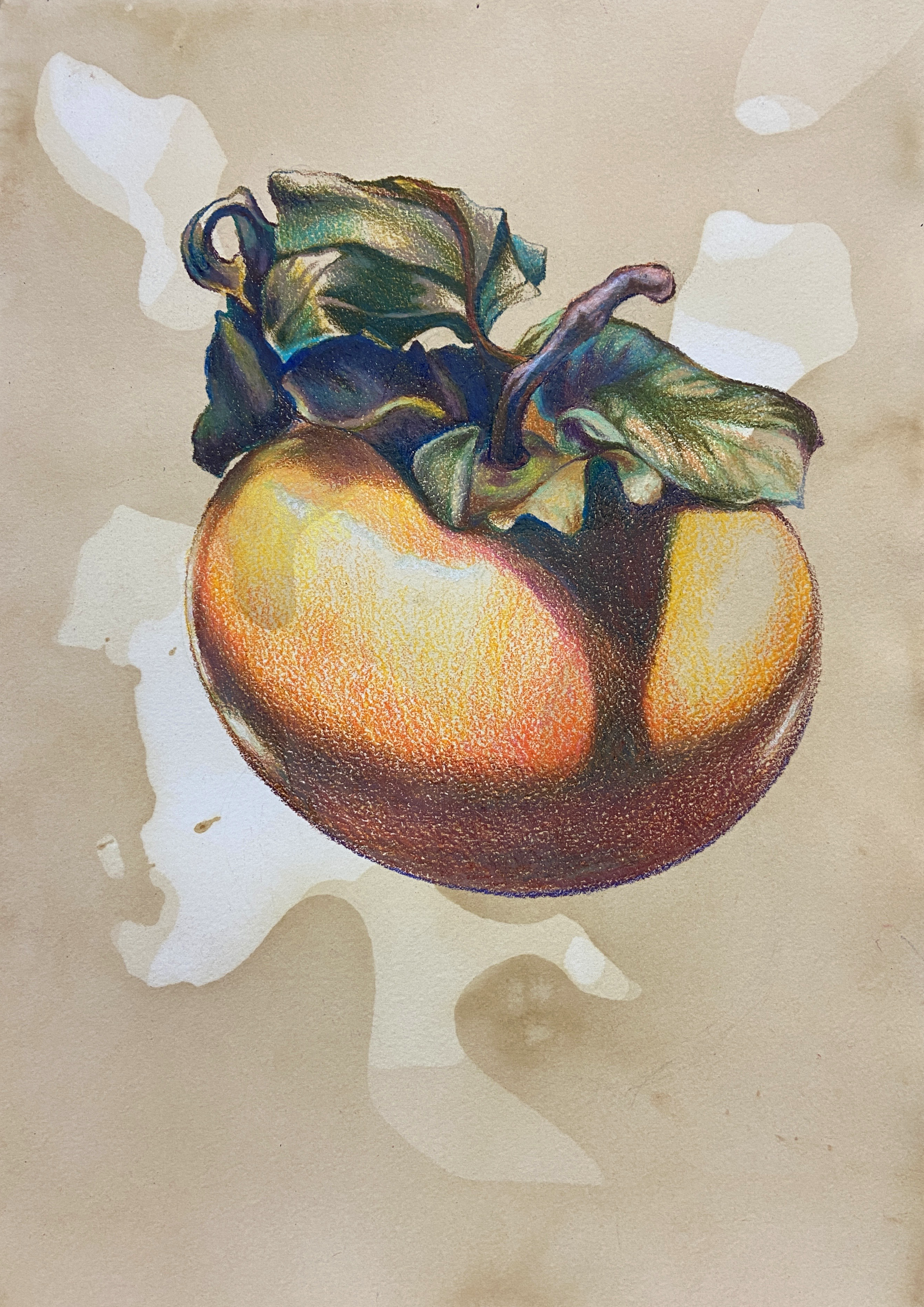 Persimmon by Melissa DeTroy