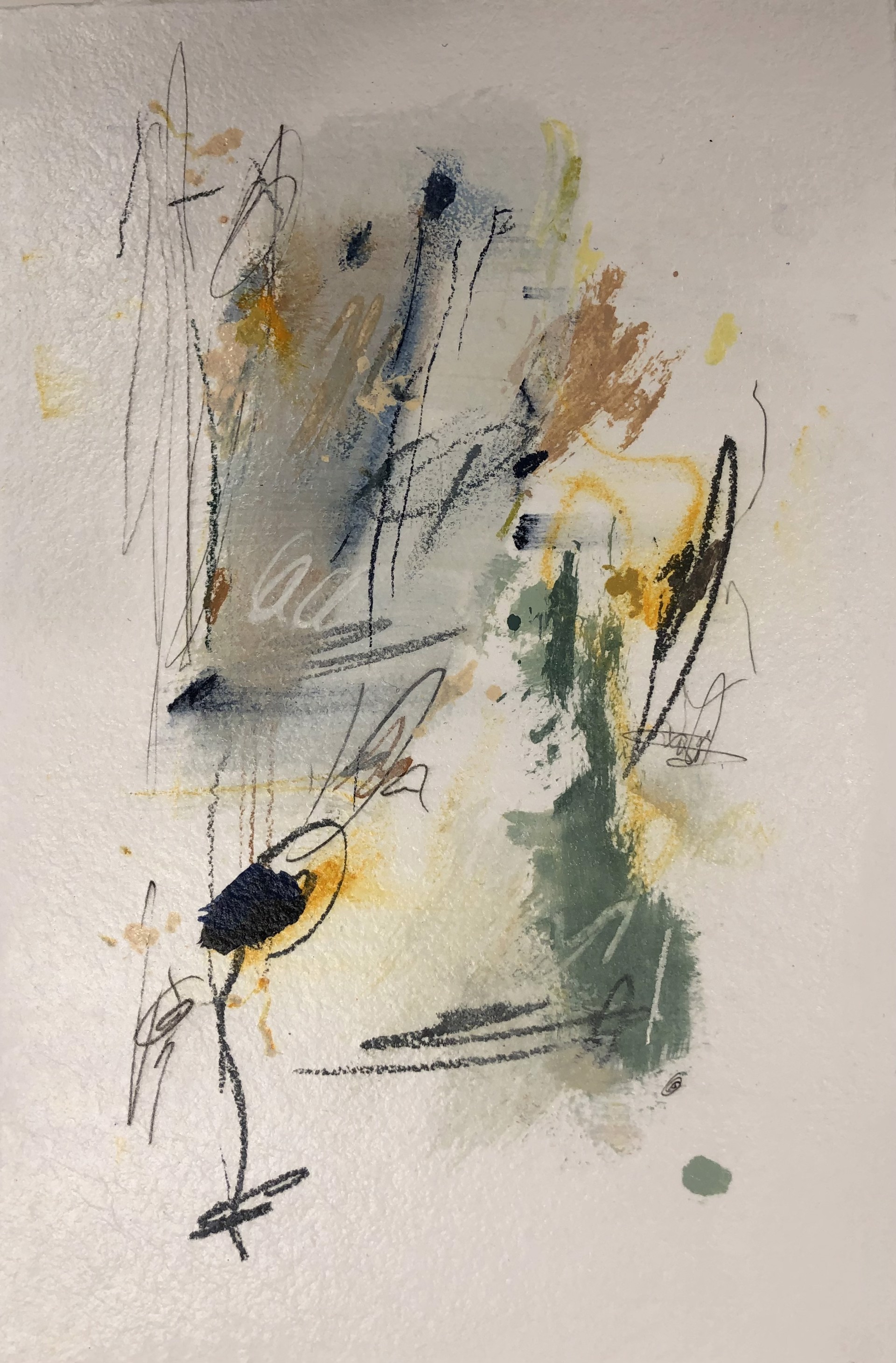 LADY BIRD by Michael J. Cisarik
