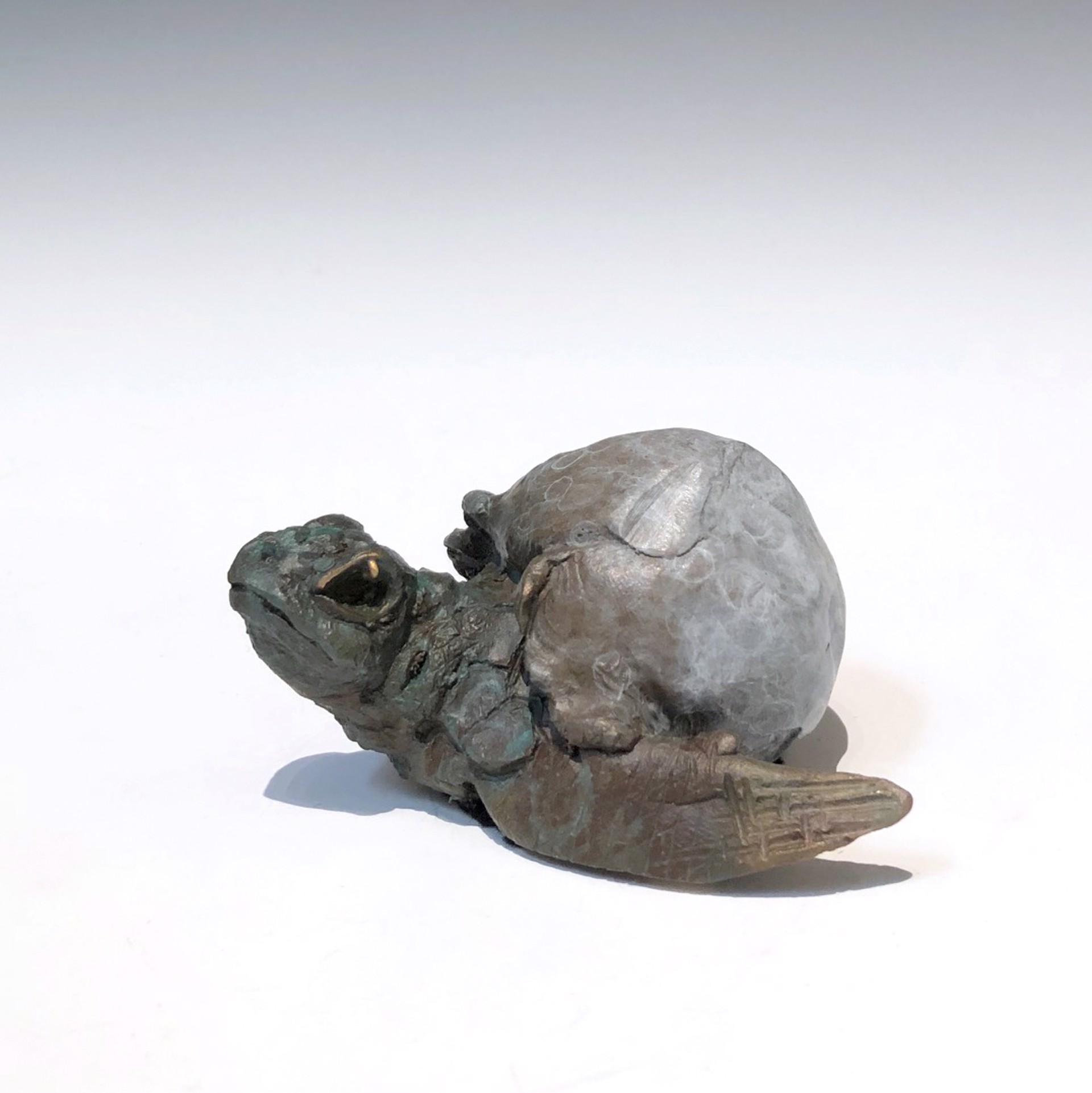 Sea Turtle C by Dan Chen