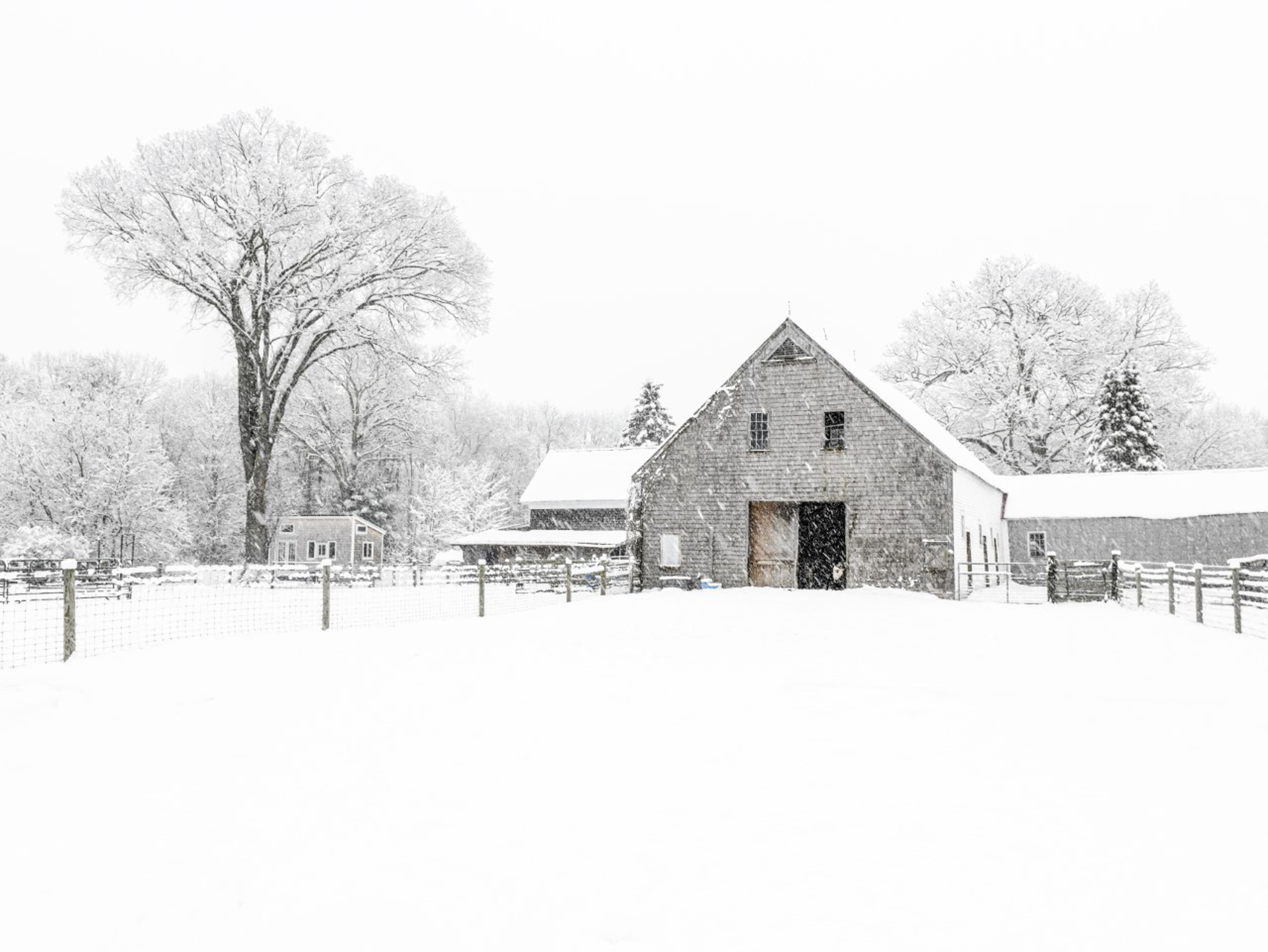 Winter Barn by Nina Fuller