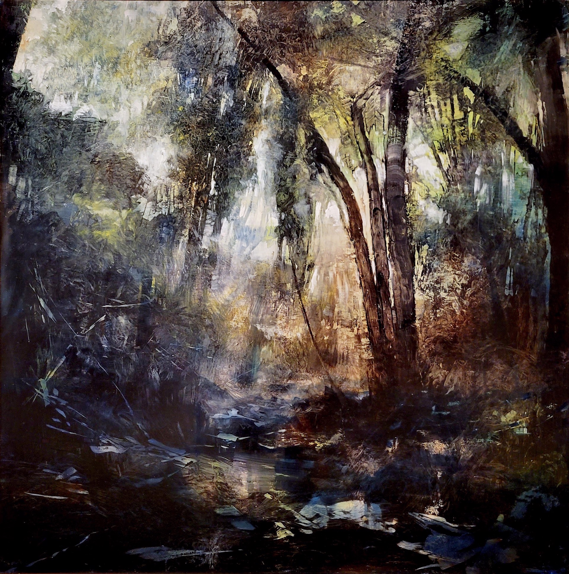 Enchanted Forest by David Allen Dunlop